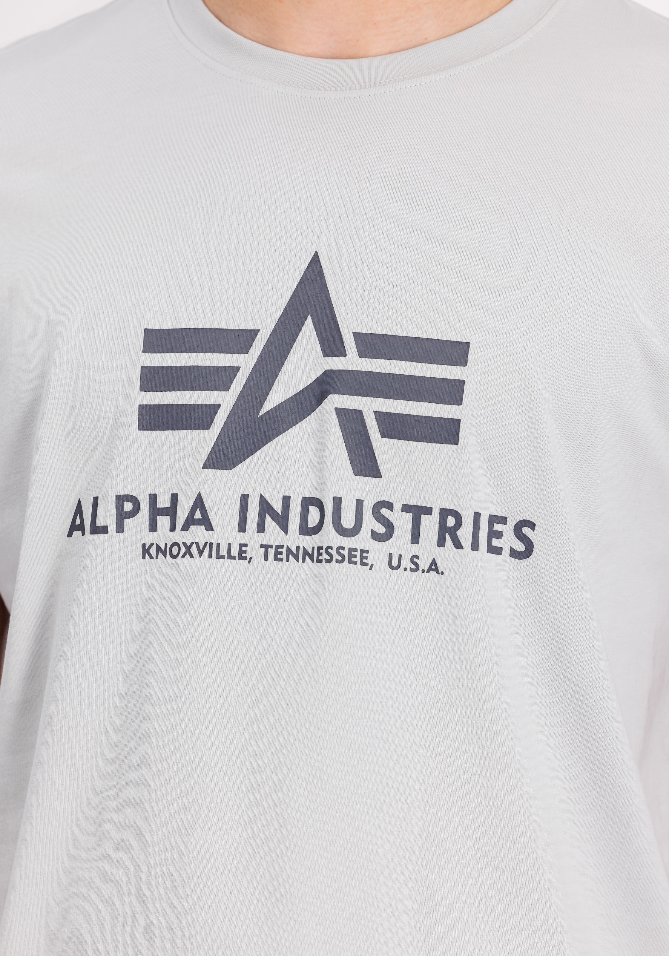 Alpha Industries T-Shirt »Basic T-Shirt« Baumwolle, regular fit