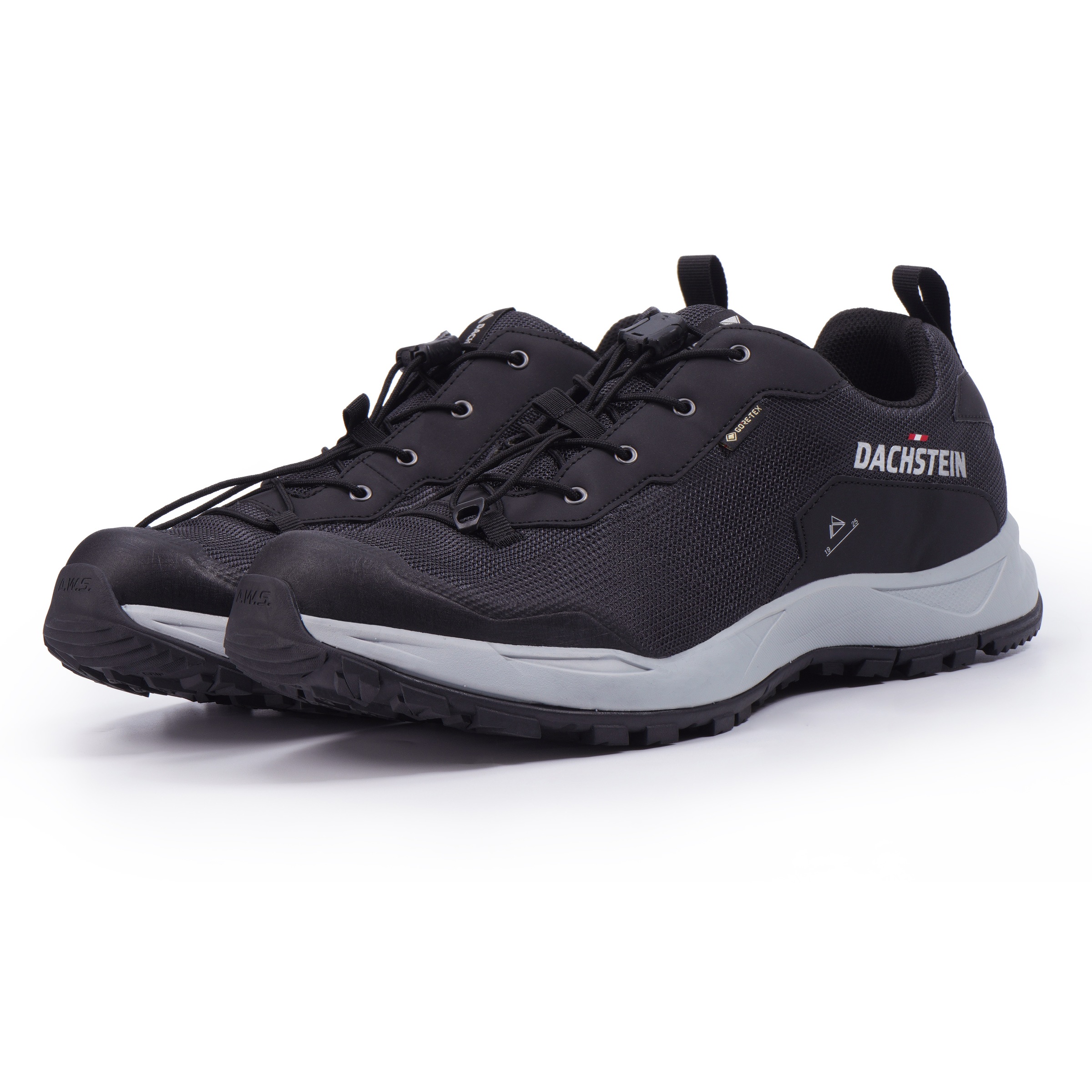 Dachstein Wanderschuh »DELTA ASCENT GORE-TEX«, wasserdicht