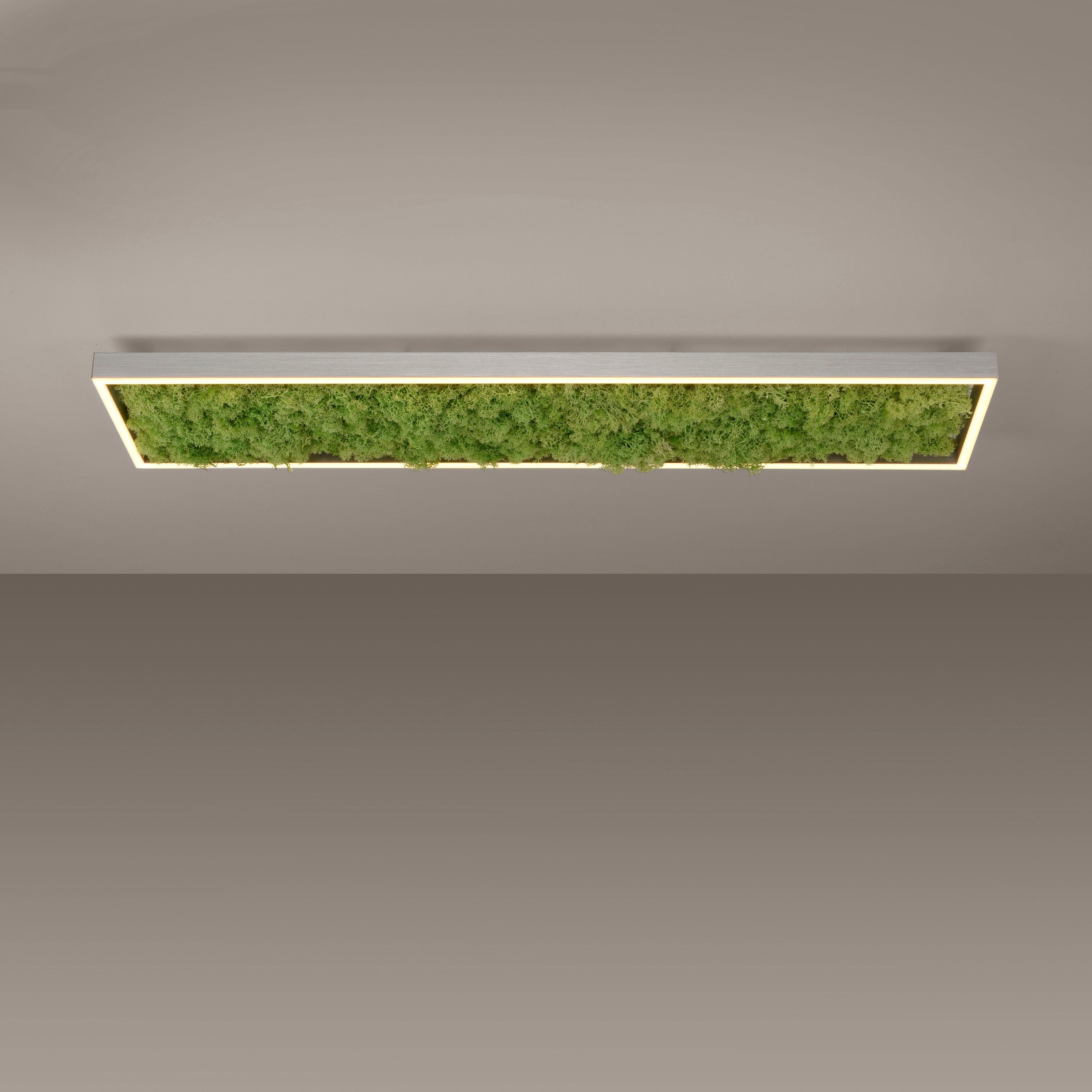 JUST LIGHT Deckenleuchte »GREEN KNUT«, 1 flammig, Leuchtmittel LED-Board | LED fest integriert