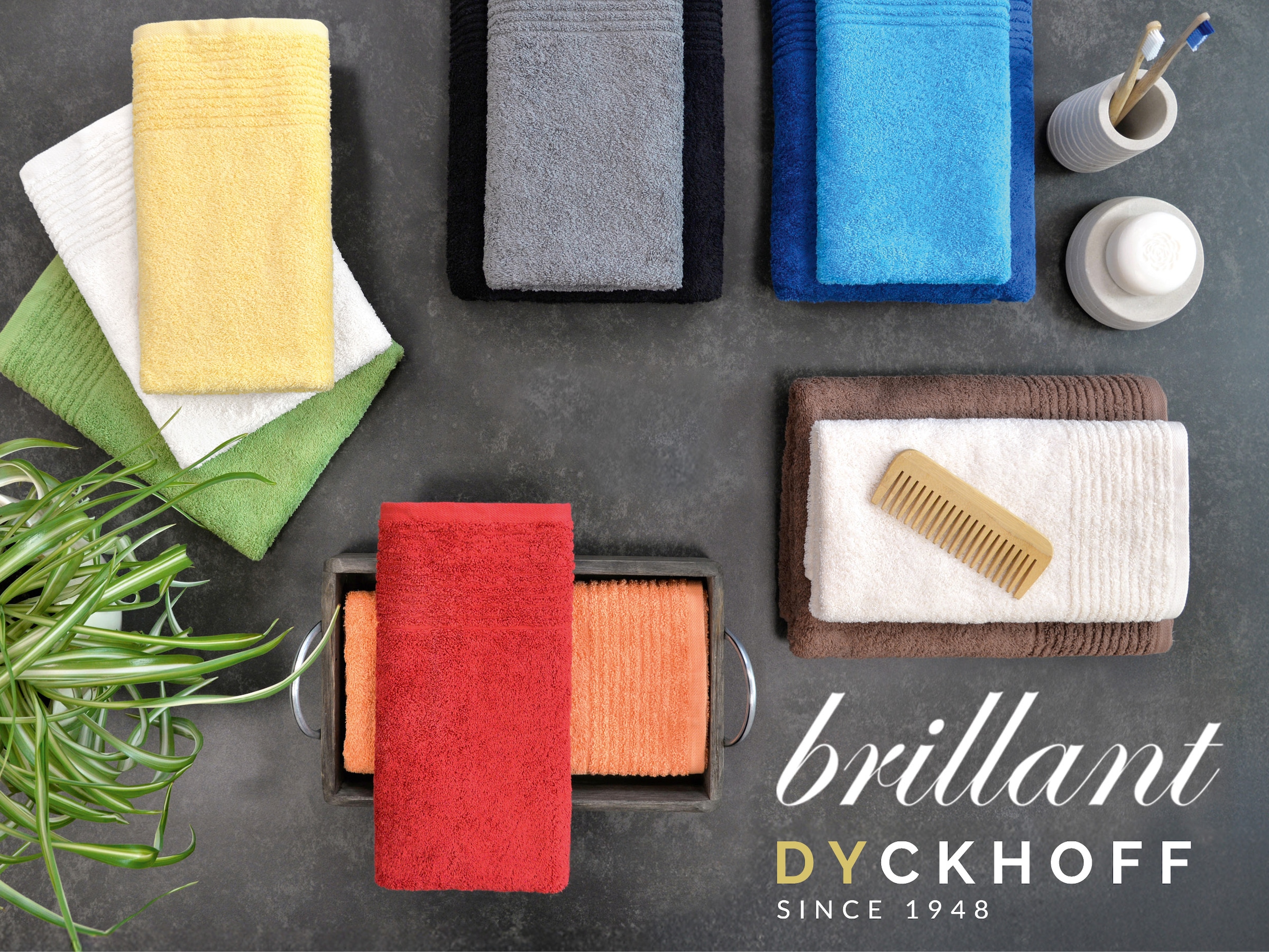 Dyckhoff Handtücher »Handtuch-Set BRILLANT 2-tlg., Baumwolle, 50x100 cm« Baumwolle