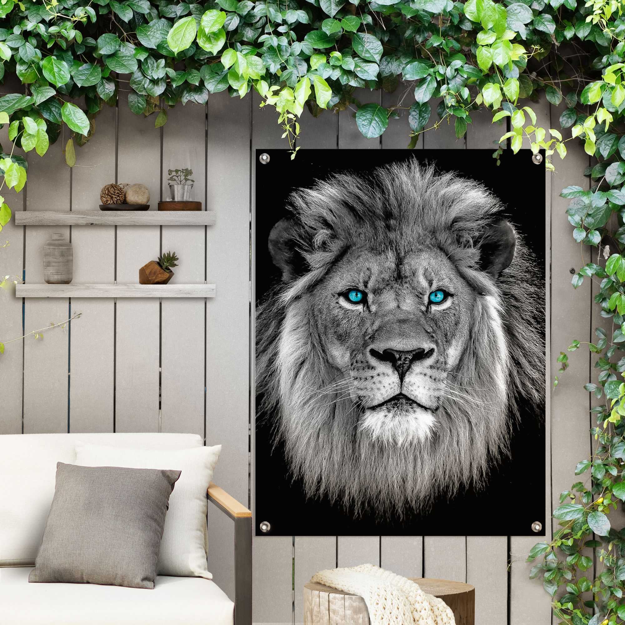 »Löwe kaufen auf Augen«, Raten Poster blaue für oder mit Garten Balkon Reinders! Outdoor