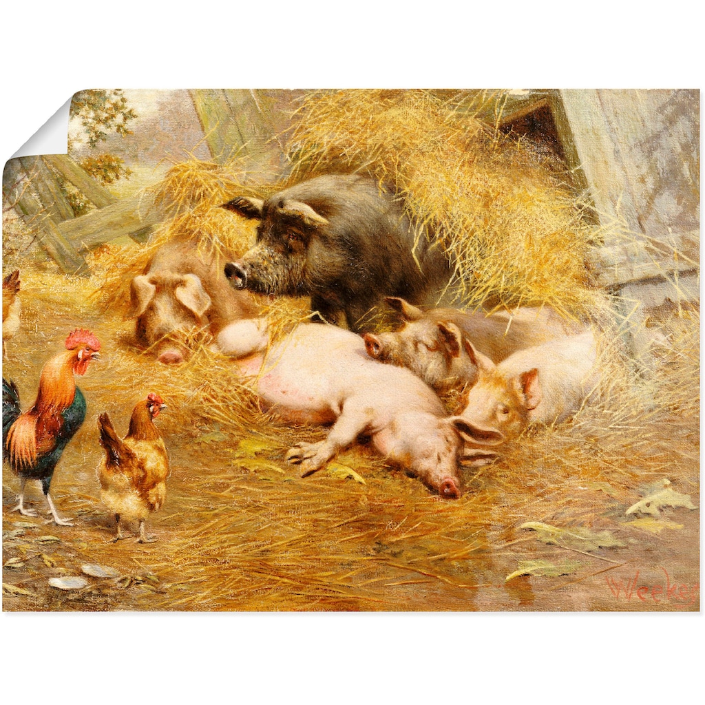 Artland Wandbild »Glückliches Tierleben.«, Haustiere, (1 St.)