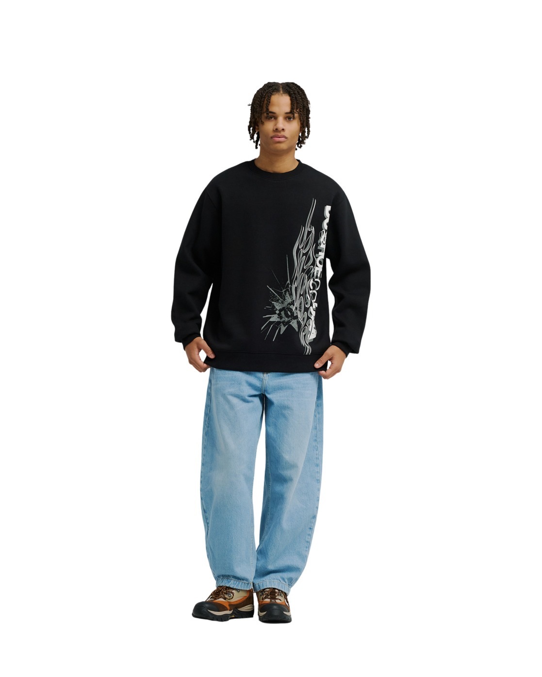 DC Shoes Sweatshirt »DC Side Flame«
