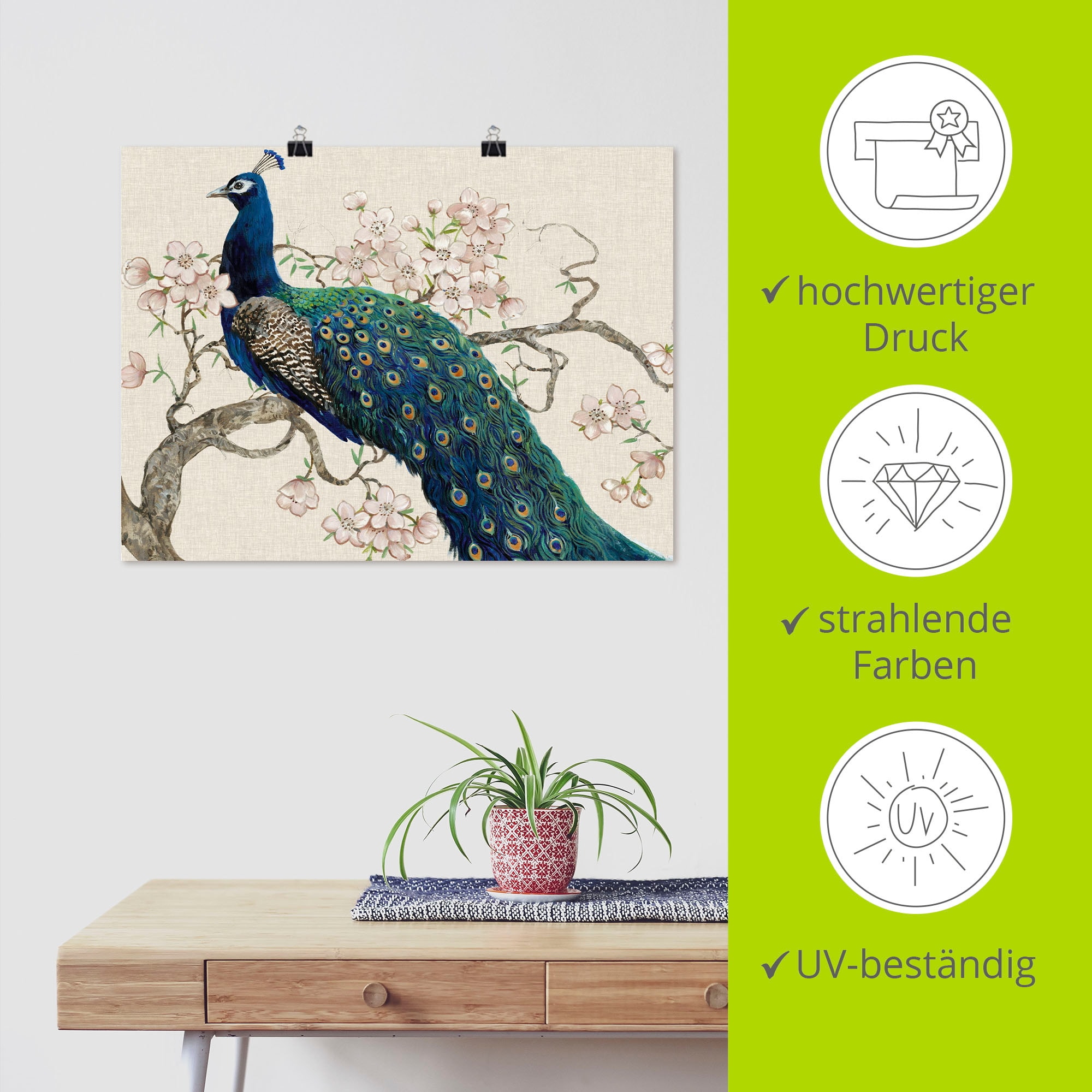 Artland Wandbild »Pfau & Blüten II« Vögel 1 Stk. tlg. als Leinwandbild, Poster in verschied. Größen