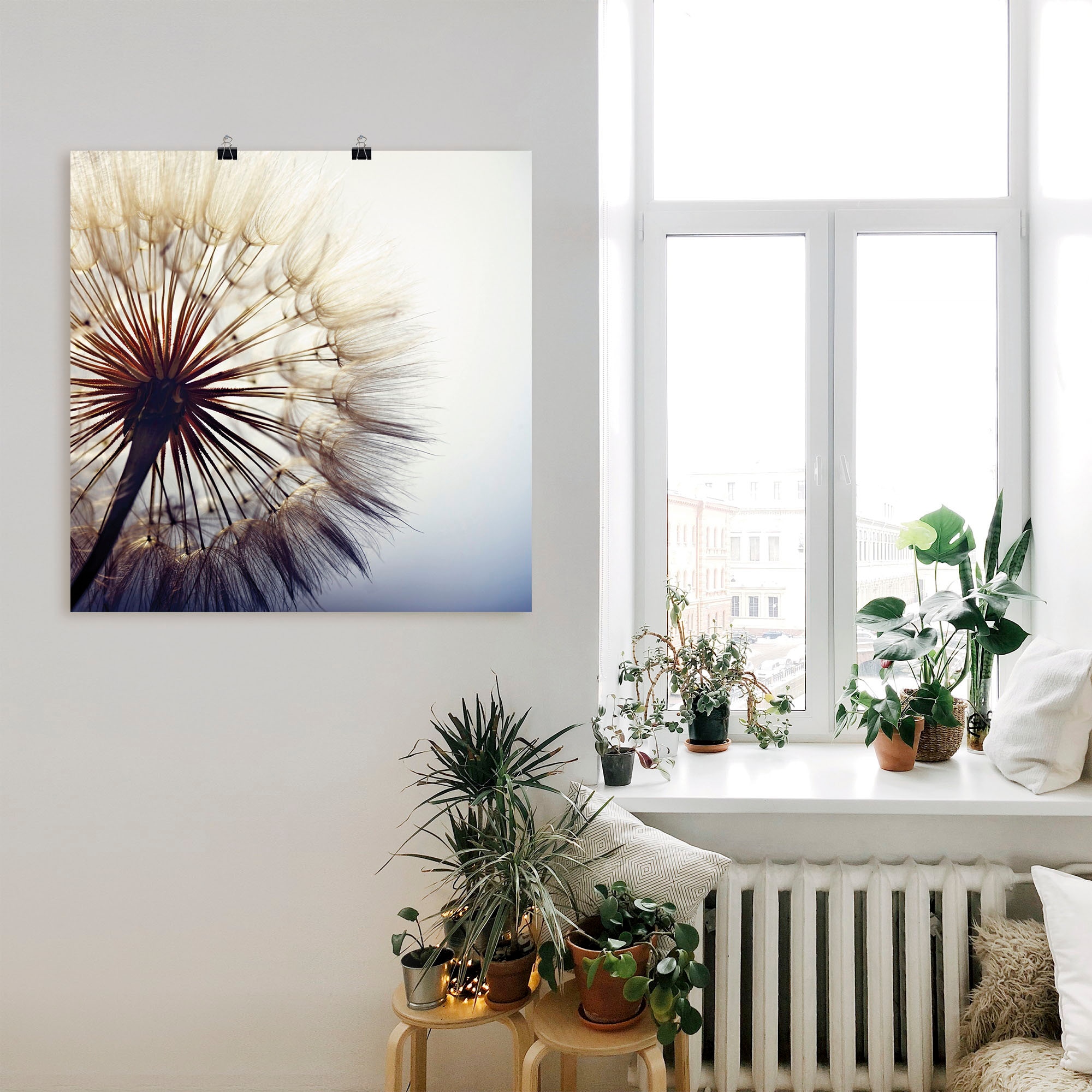 Artland Wandbild »Große Pusteblume«, Blumen, (1 St.), als Alubild, Outdoorbild, Leinwandbild, Poster, Wandaufkleber