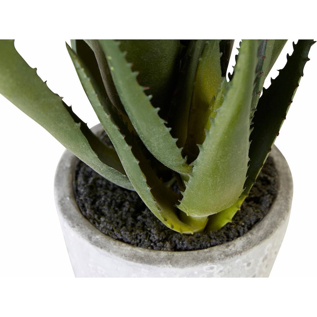 Creativ green Kunstpflanze »Aloe«