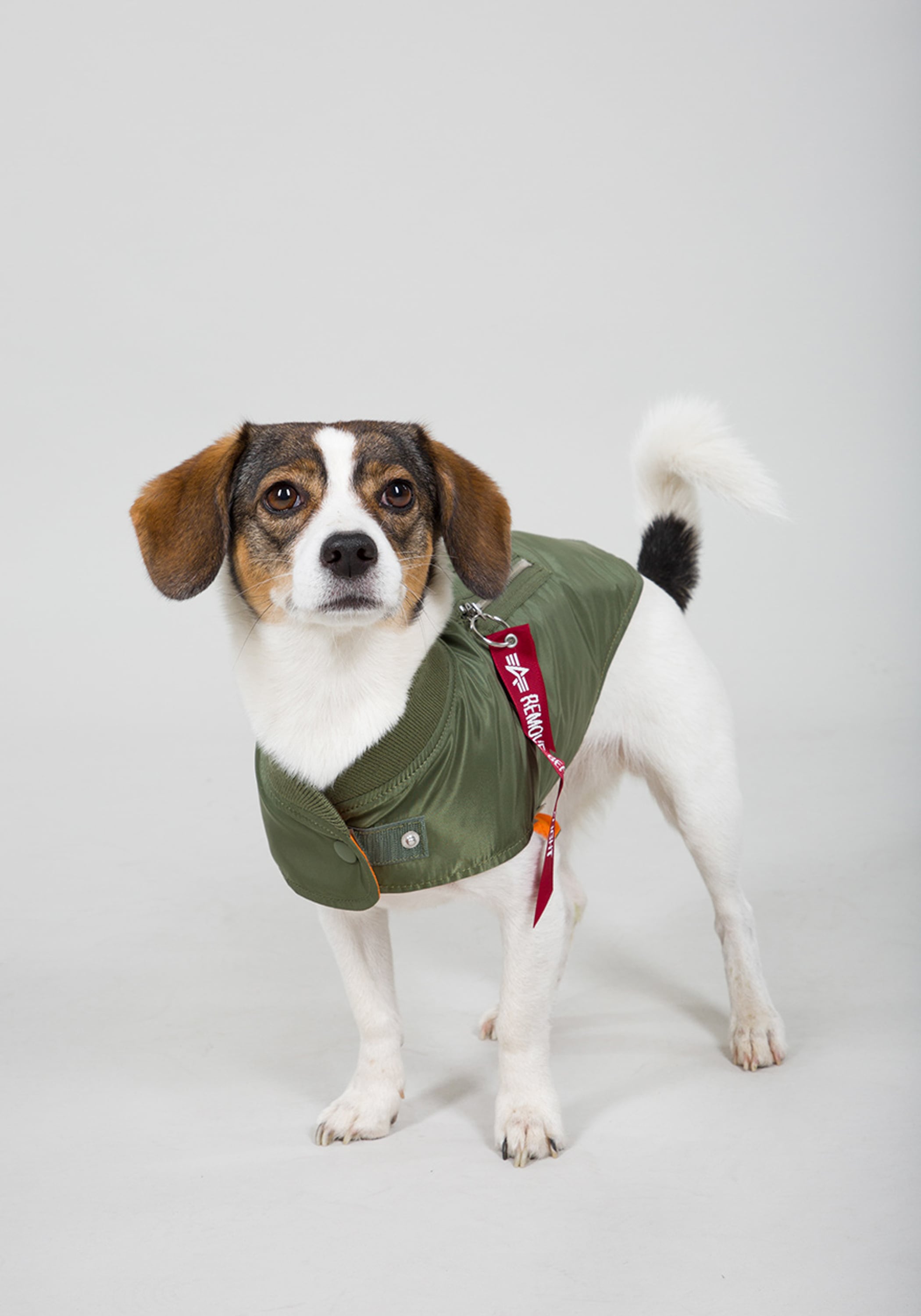 Hundejacke »Alpha Industries Accessoires - Dog Accessories«