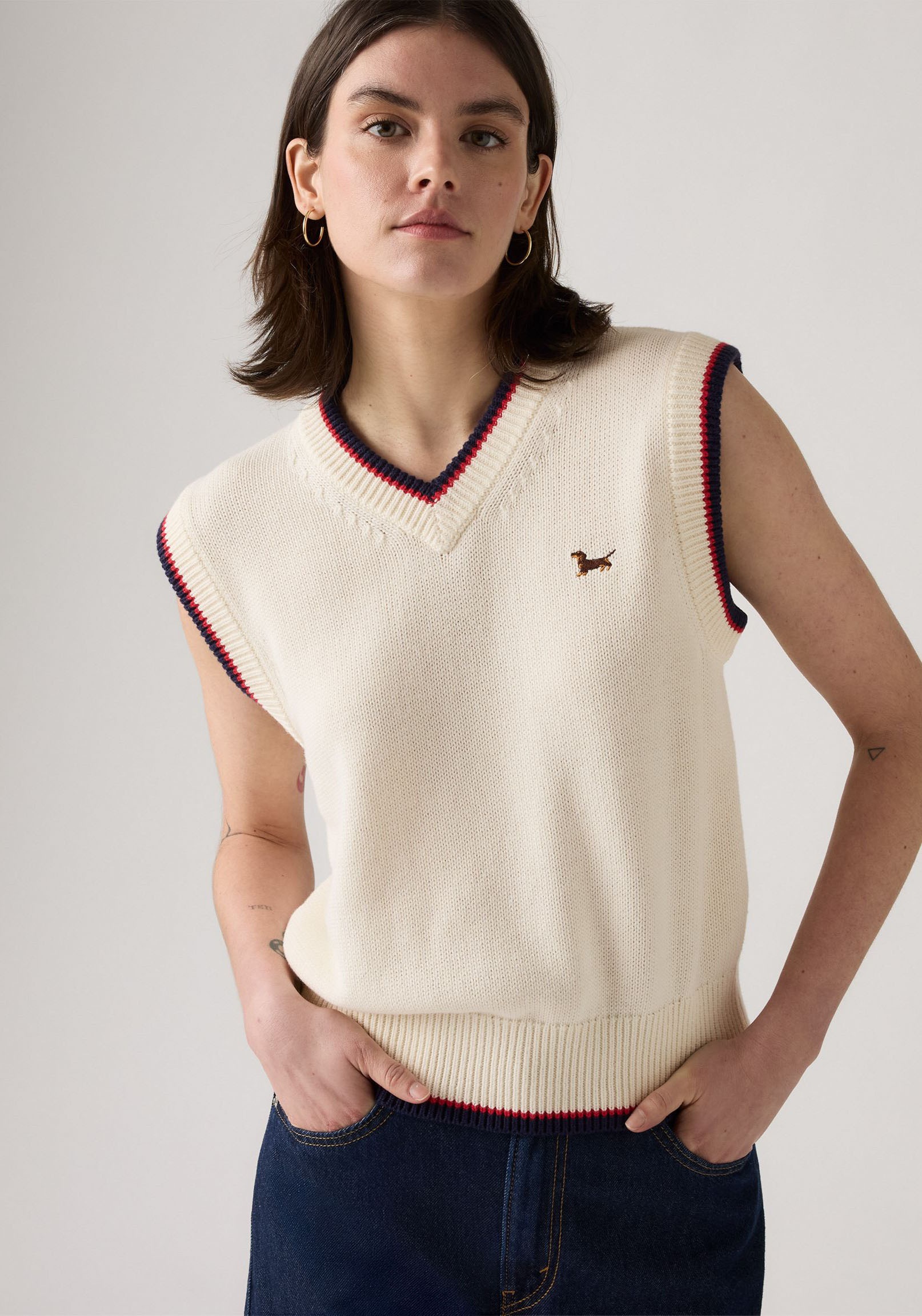 Levi's® Pullunder »CHARLIE VNECK VES«, Feinstrick mit Wollanteil