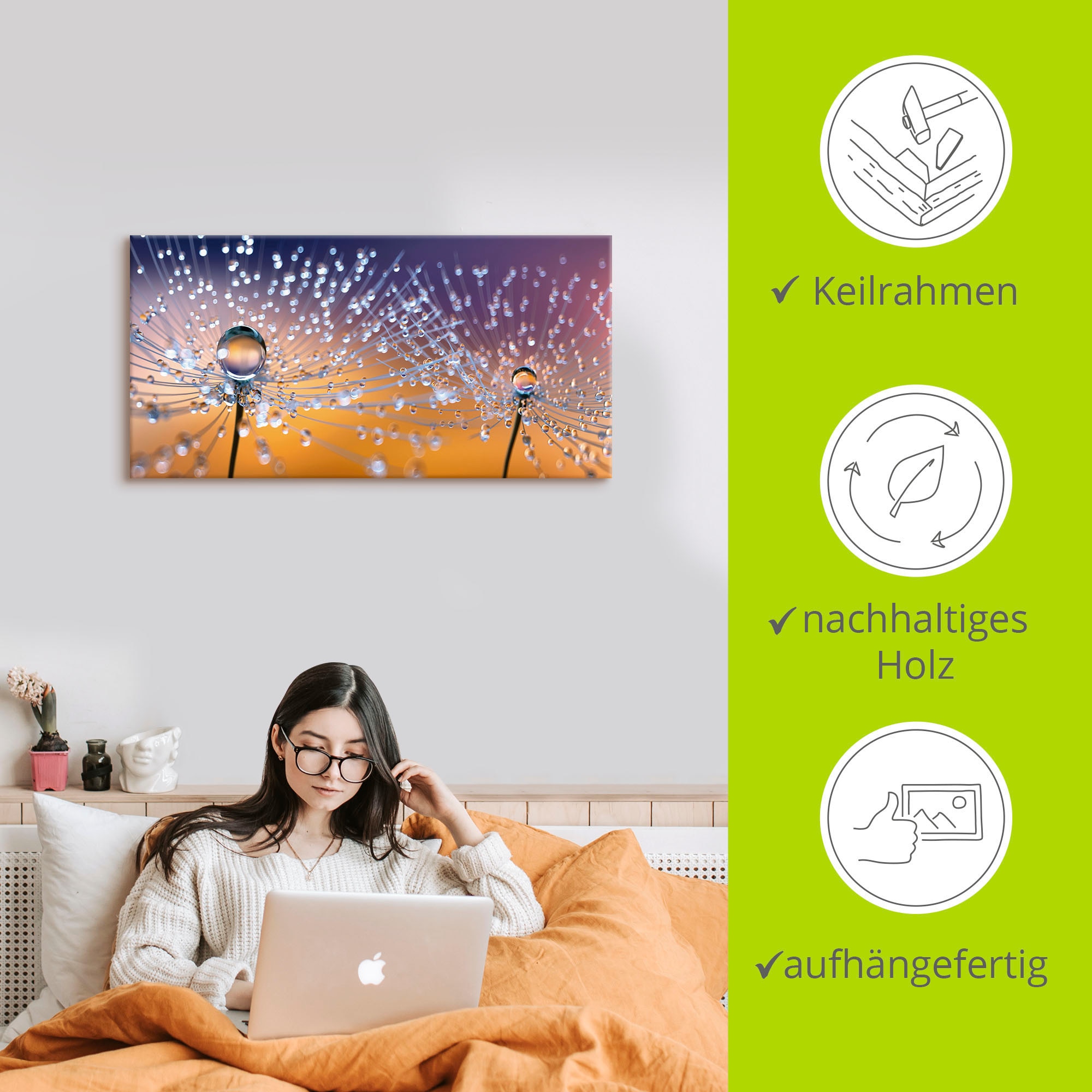 Artland Leinwandbild »Pusteblumen Tautropfen« Blumenbilder 1 Stk. tlg. auf Holzrahmen gespannt