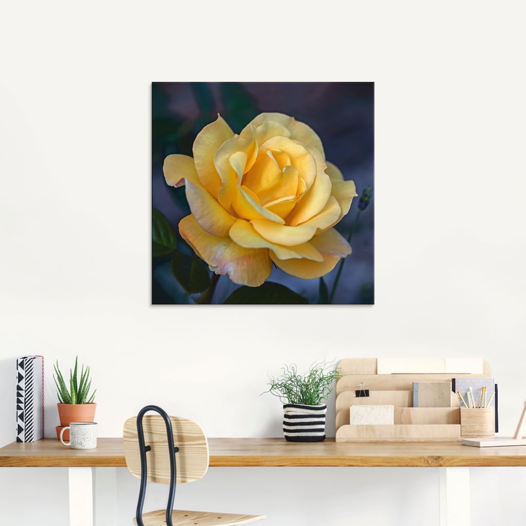 Artland Glasbild »Gelbe Rose«, Blumen, (1 St.)