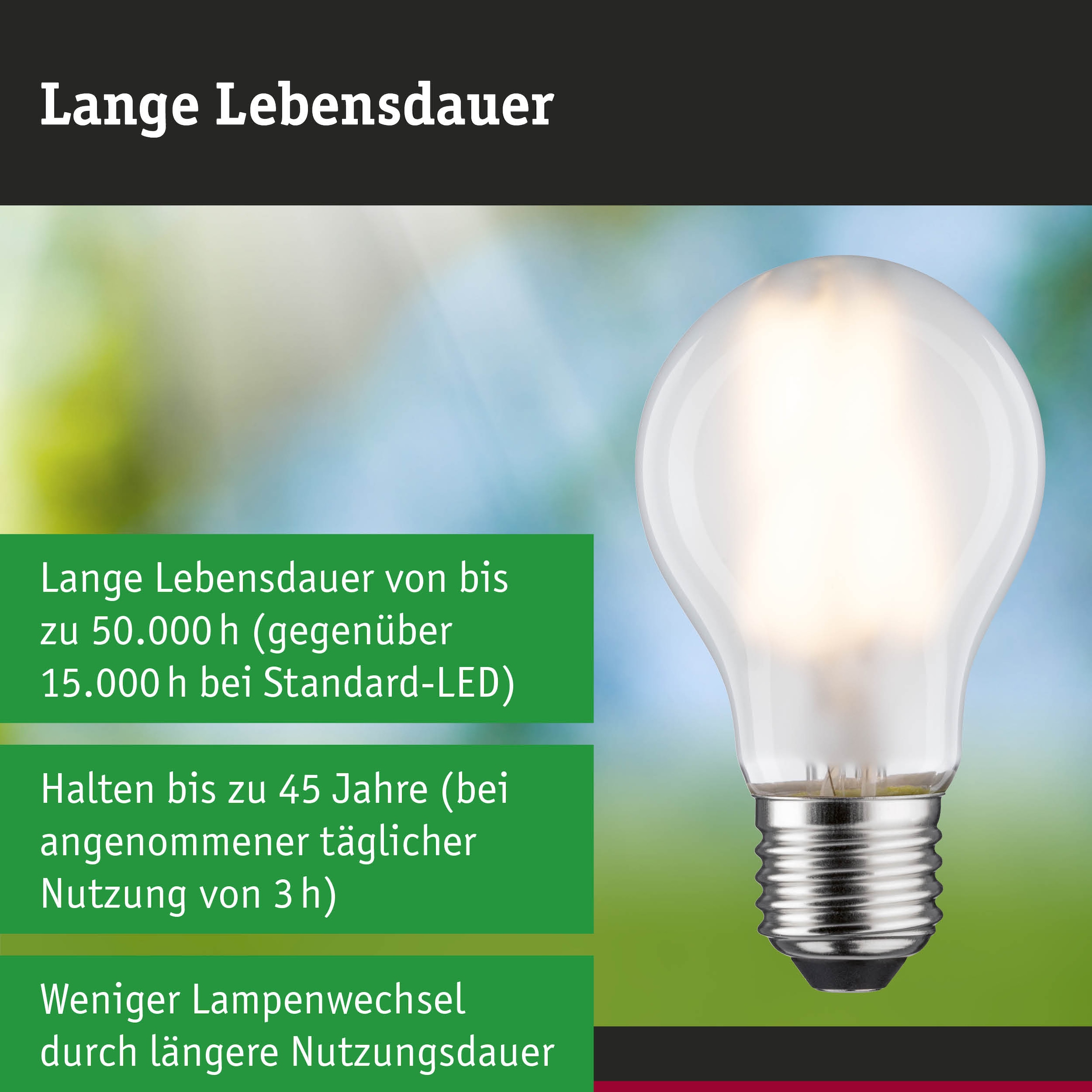 Paulmann LED-Leuchtmittel »Efficient-Line Filament 230V LED Birne E27 1 St. 1055lm 5W 3000K Matt« E27 1 Stk. Warmweiß