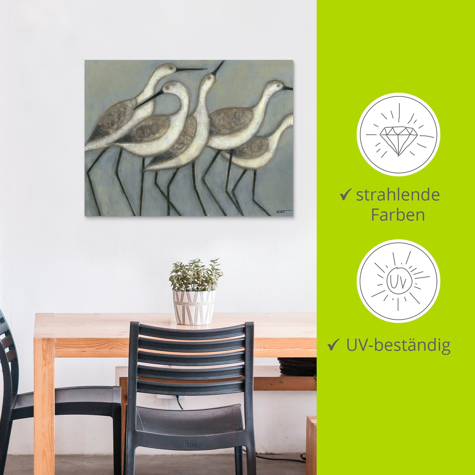 Artland Alu-Dibond-Druck »Küstenvögel II« Vögel 1 Stk. tlg. für Innen- und Außenbereich geeignet, Outdoorbild