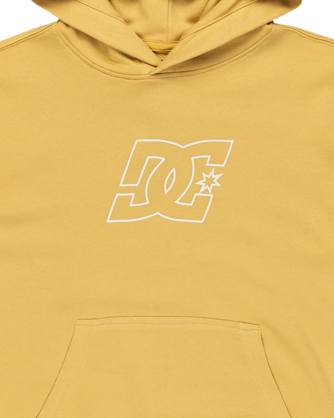 DC Shoes Hoodie »Pallet Ph«