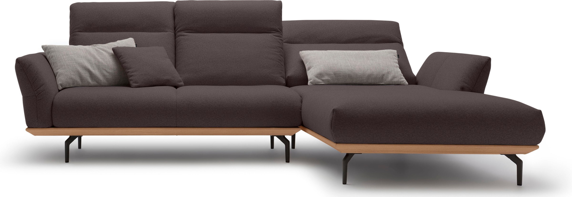 Creation BY ROLF BENZ Ecksofa »CR.460«, Sockel in Eiche, Alugussfüße in umbragrau, Breite 298 cm