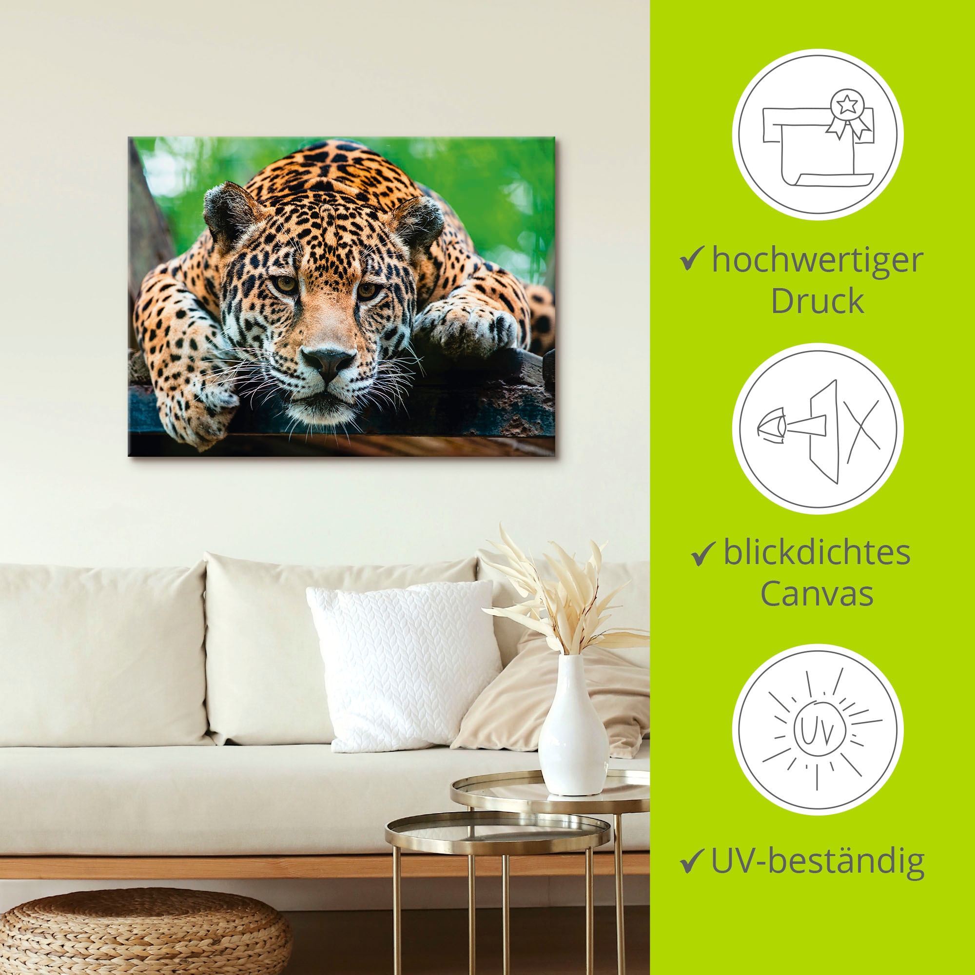 Artland Wandbild »Südamerikanischer Jaguar« Wildtiere 1 Stk. tlg. als Alubild, Outdoorbild, Leinwandbild, Poster, Wandaufkleber