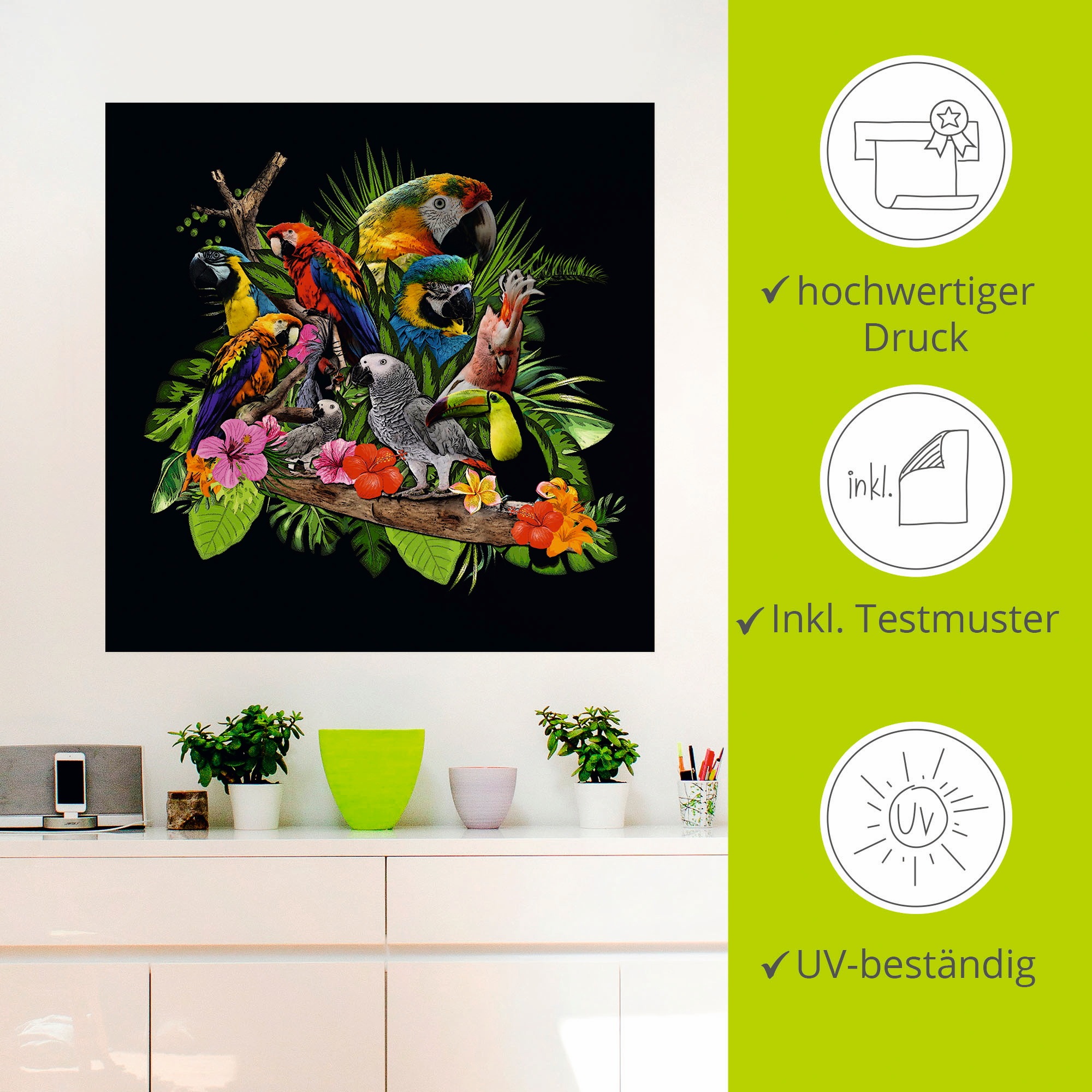 Artland Wandbild »Papageien Graupapagei Kakadu Dschungel«, Vögel, (1 St.), als Alubild, Outdoorbild, Leinwandbild, Poster, Wandaufkleber
