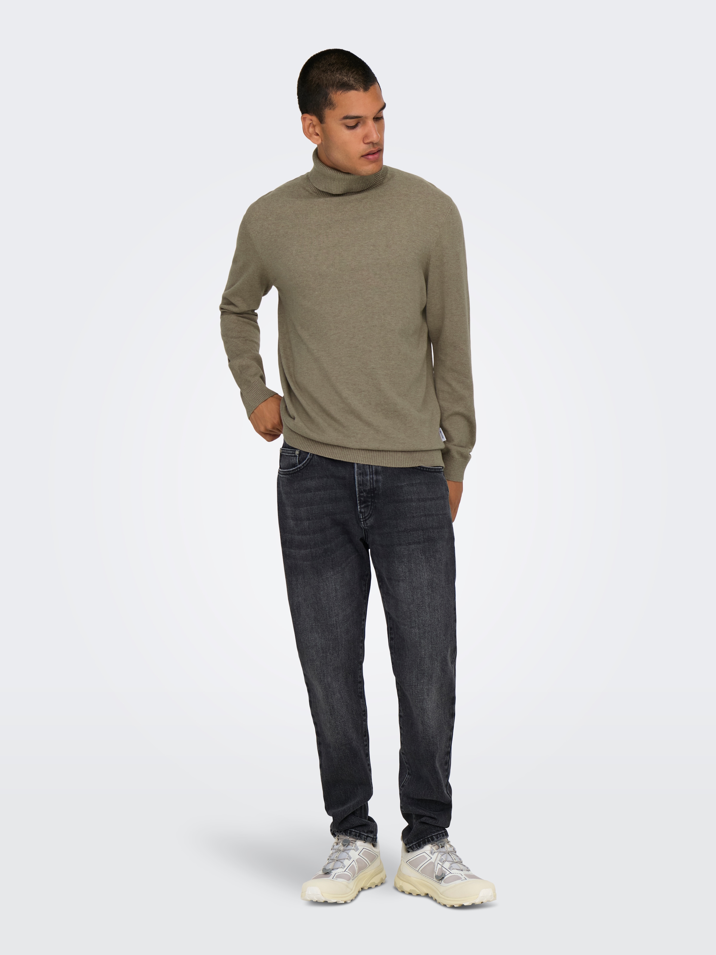 ONLY & SONS Stehkragenpullover »ONSLOUI REG 12 MEL ROLL KNIT NOOS«