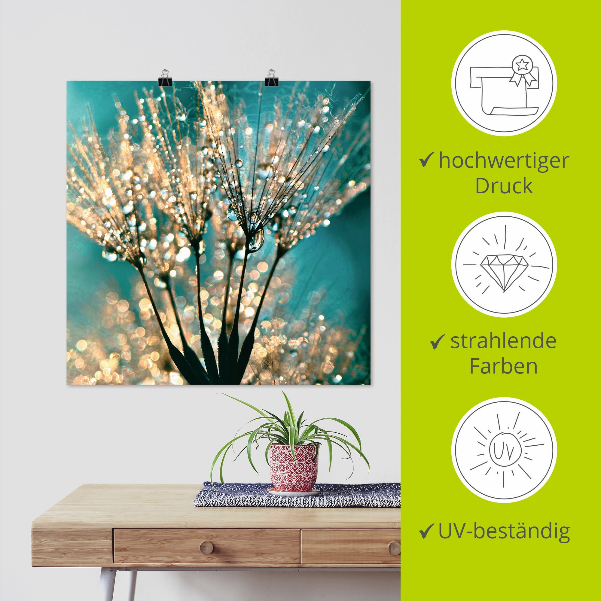 Artland Wandbild »Pusteblume Schirmchen abstrakt« Blumen 1 Stk. tlg. als Leinwandbild, Poster in verschied. Größen