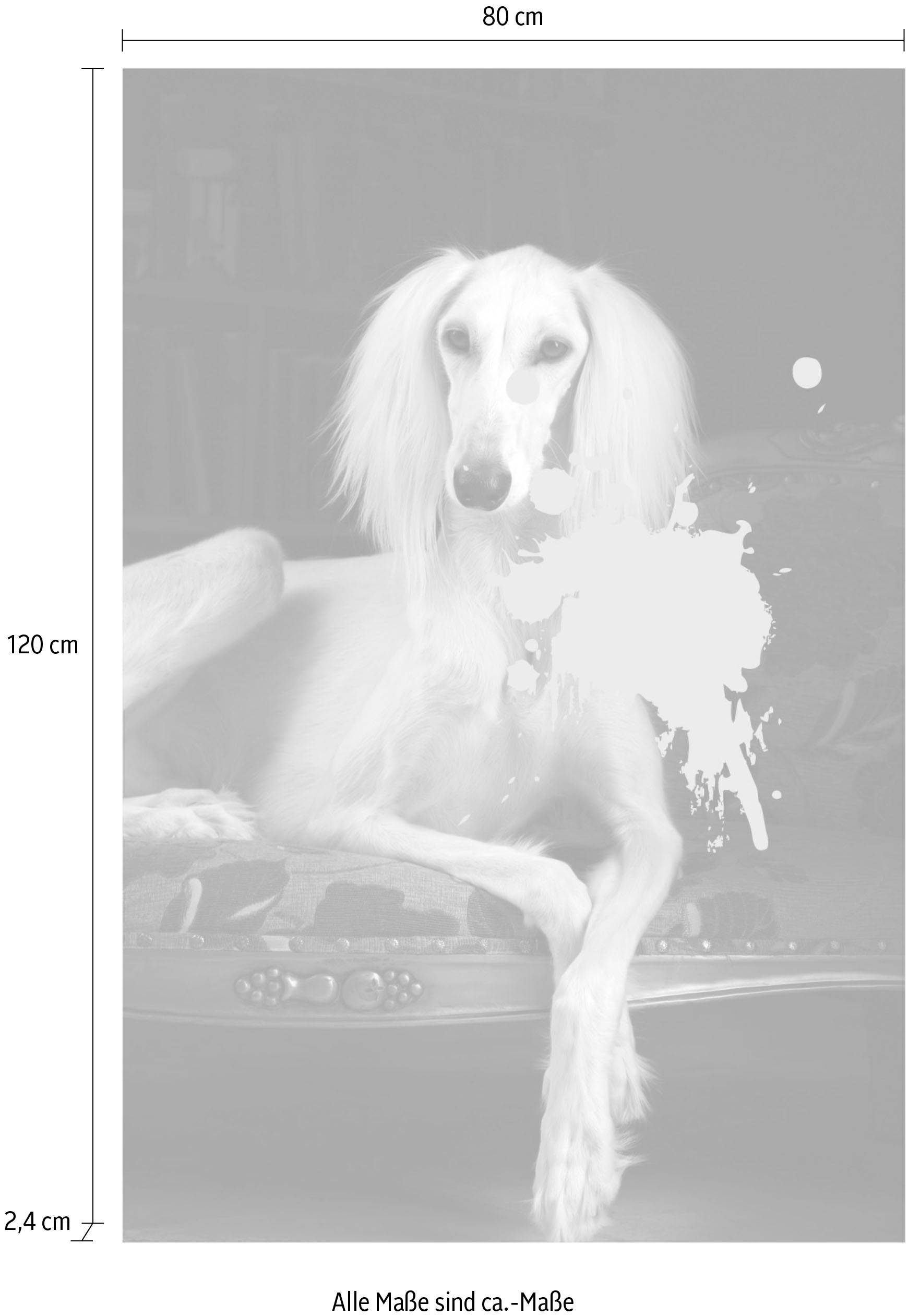 queence Acrylglasbild »Hund mit Farbklecks«, Kunst-Gemälde-Hund-Hundebilder-Historische Persönlichkeiten-Formen-Haustiere, Fine Art-Print in Galeriequalität