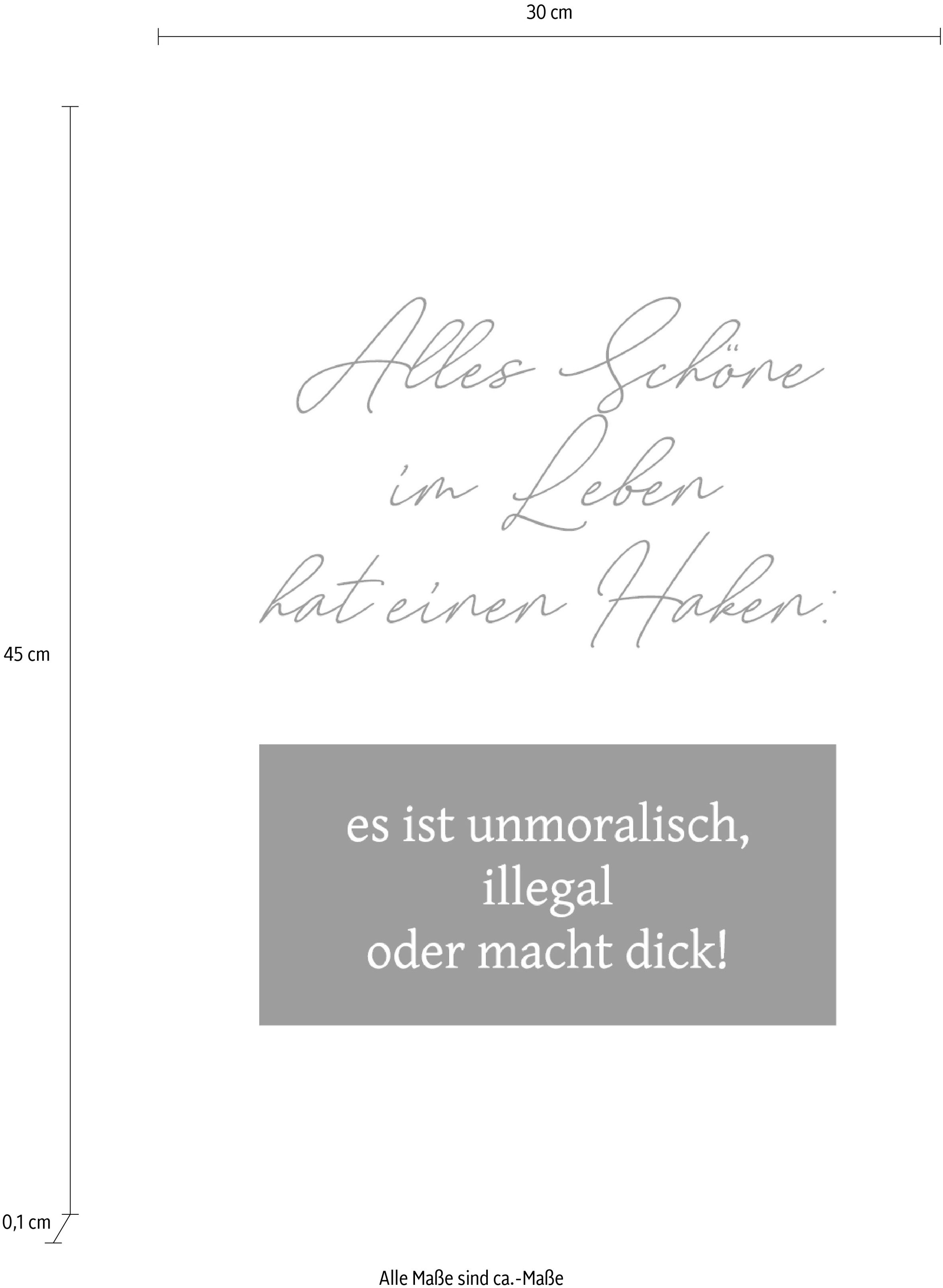 queence Wanddekoobjekt »Alles Schöne im Leben hat einen Haken: ...« Stahlschild, Blechschild, Spruch, Witzig, Wanddeko, retro, 20x30cm