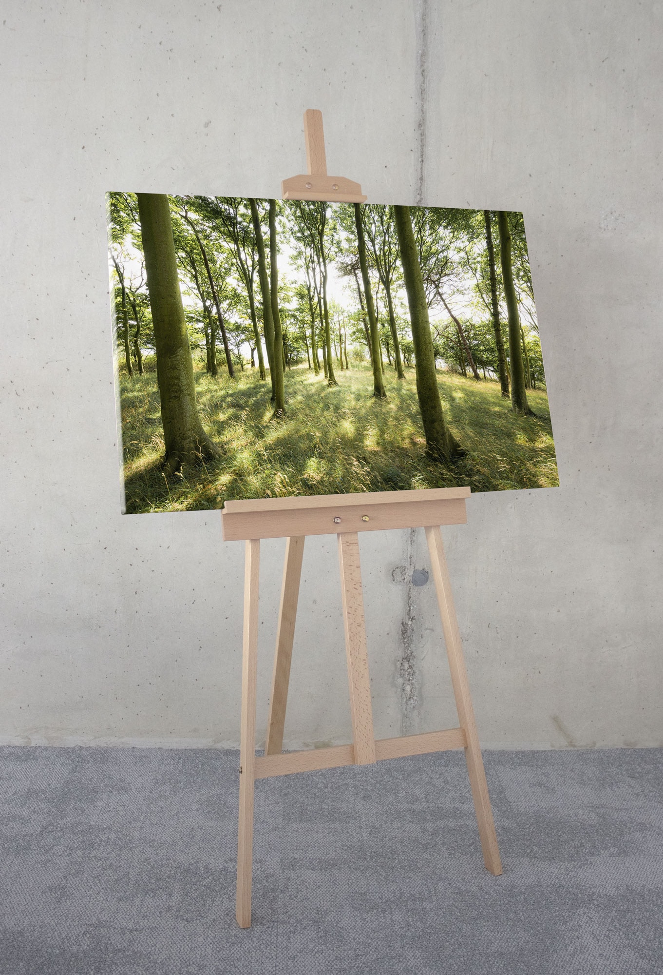 Komar Leinwandbild »Dänische Buchen - Größe 90 x 60 cm« Baum | Berge | Blumen | Blätter | Foto | Jahreszeiten | Landschaft | Meer | Natur | Palmen | Strand Packung, 1 Stk. tlg. Keilrahmenbild mi Echtholzrahmen