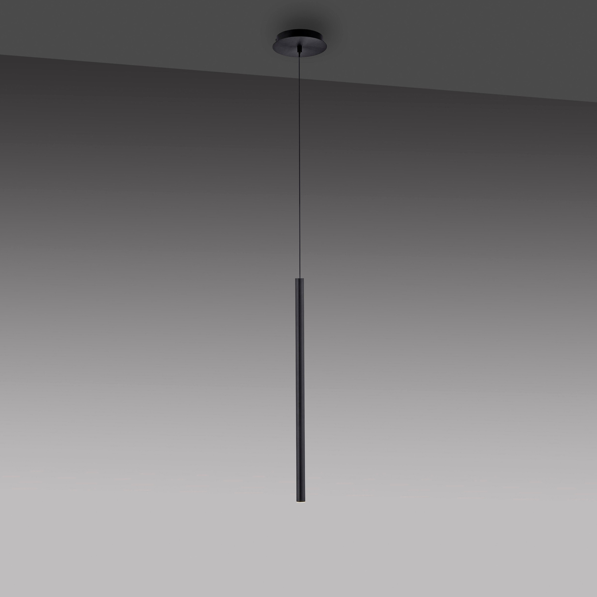 Paul Neuhaus Pendelleuchte »FLUTE«, 1 flammig, Leuchtmittel LED-Board | LED fest integriert