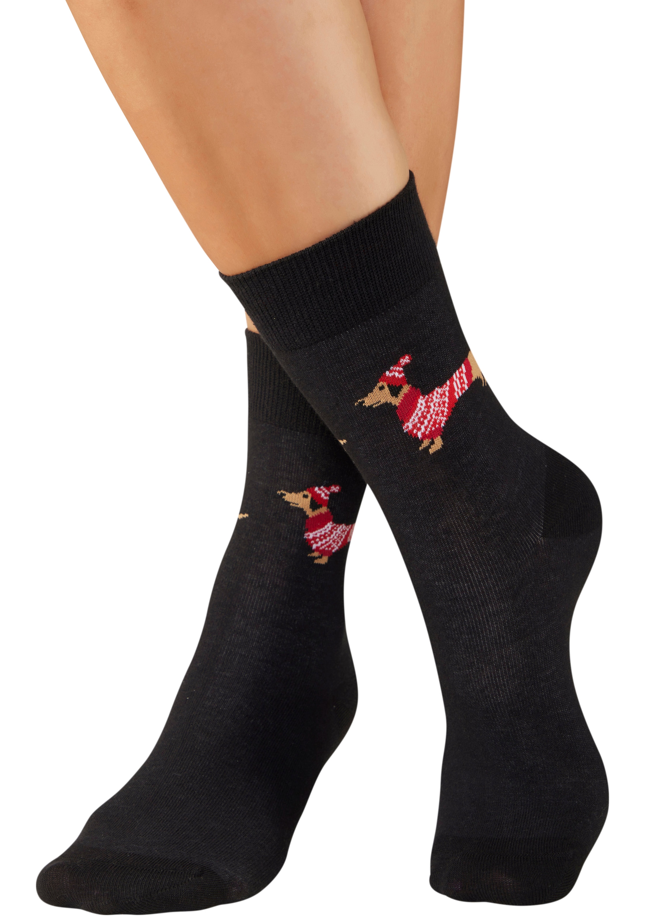 LASCANA Socken Packung, 3 Paar tlg. mit weihnachtlichem Dackelmotiv