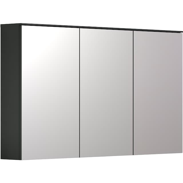 INOSIGN Spiegelschrank »Premont«, (1 St.), 120 cm breit / 70 cm hoch,  Spiegelschrank Türen mit Soft-Close online kaufen | mit 3 Jahren XXL  Garantie