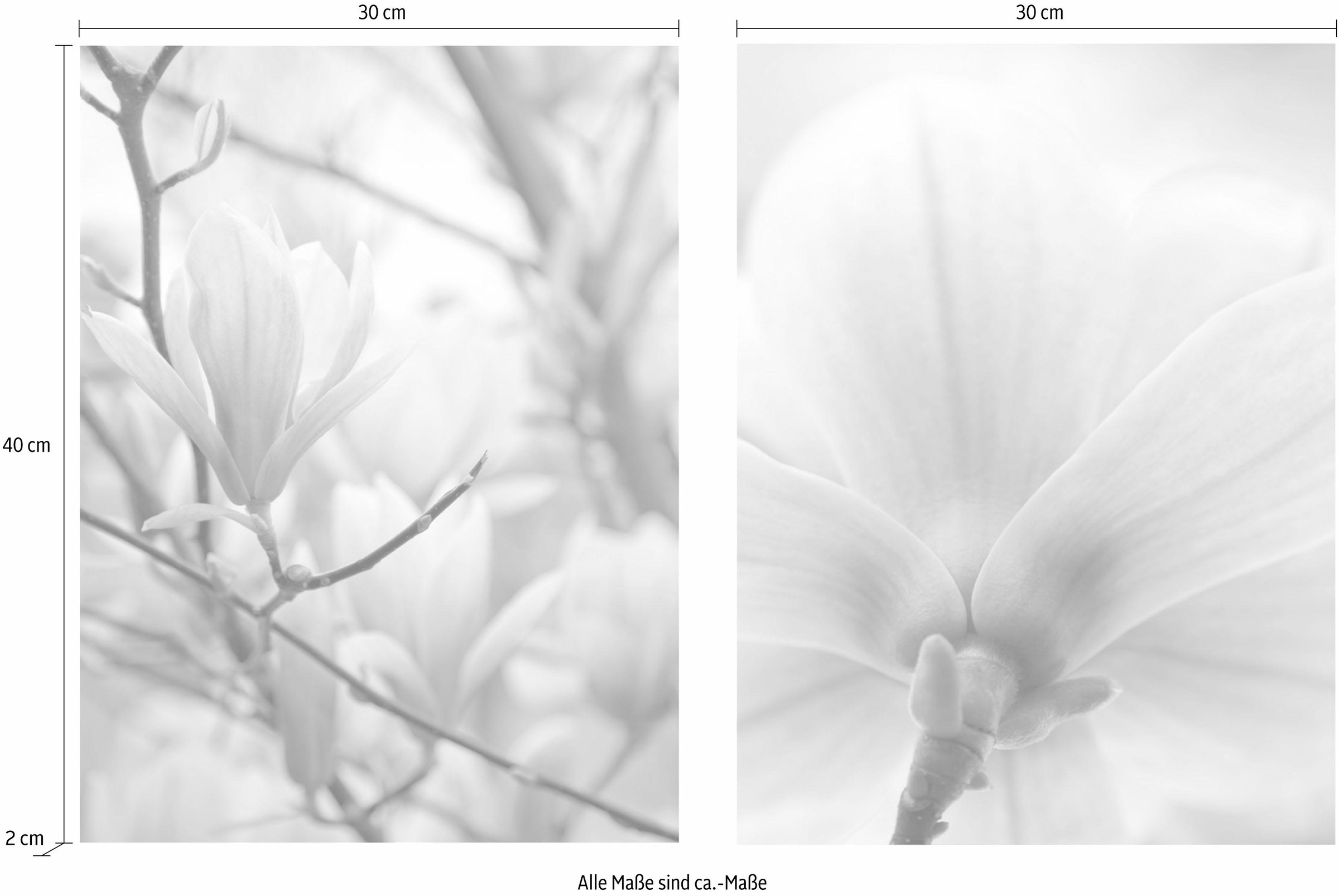 Creativ home Bild »Magnolien«, (Set, 2 St.), 2er Set auf Raten bestellen | Kunstdrucke