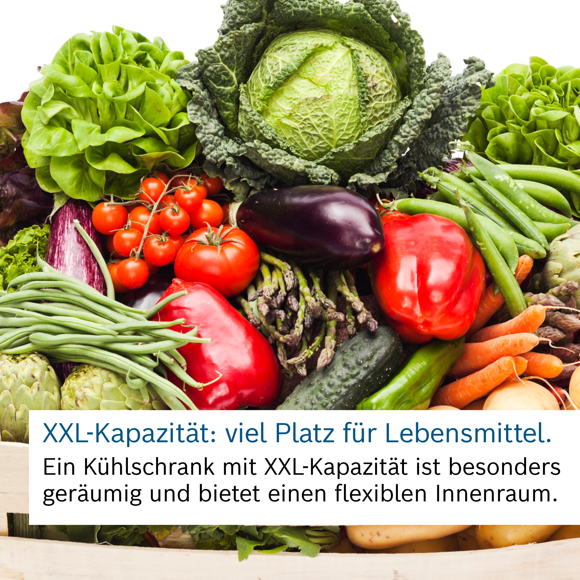 BOSCH Kühl-/Gefrierkombination »KGE49AICA«, XXL Fassungsvolumen von 419 l