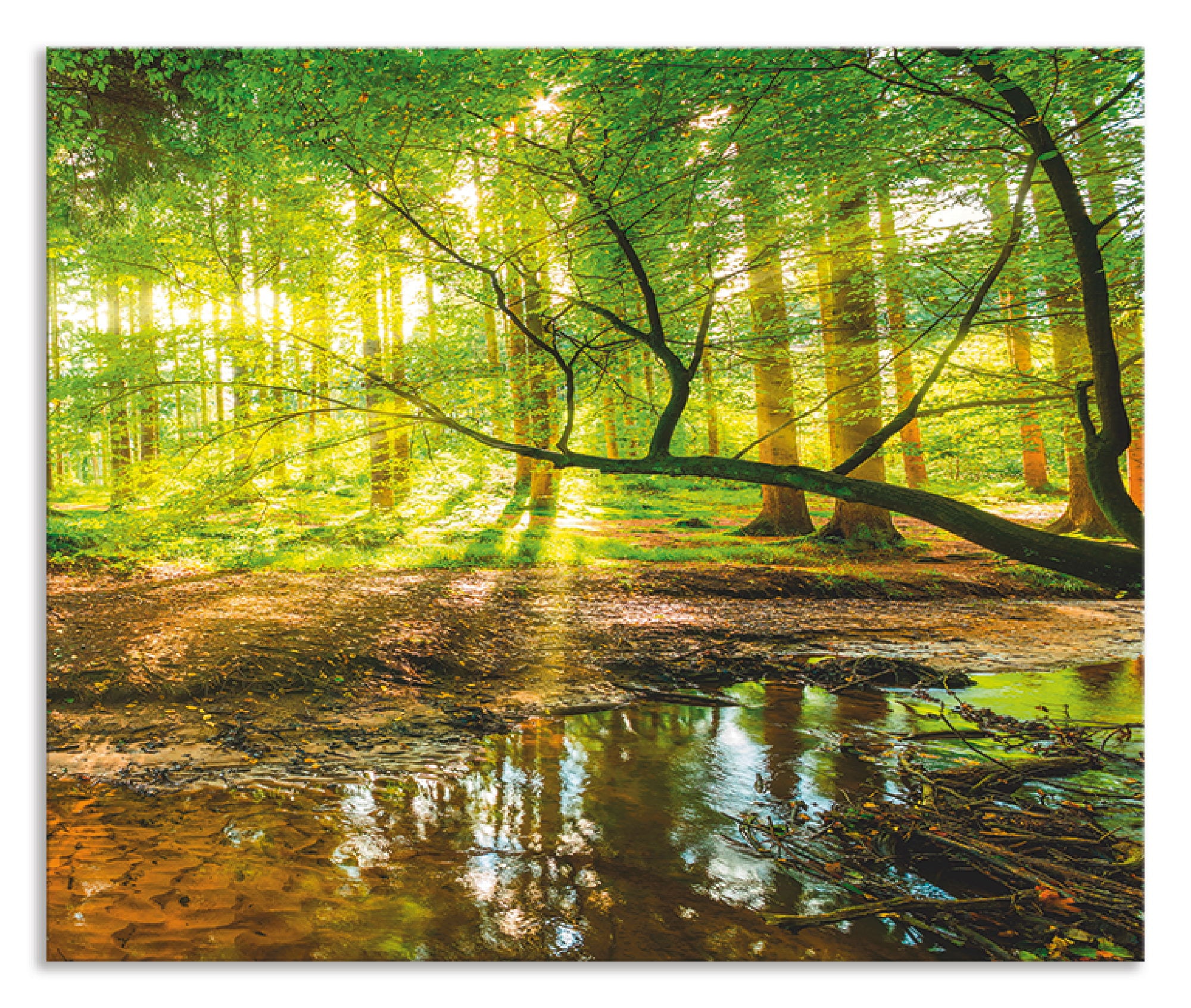 Klebeband, mit mit kaufen Artland Bach«, XXL 3 online | Küchenrückwand Spritzschutz Alu Jahren tlg.), Montage »Wald einfache mit Garantie (1