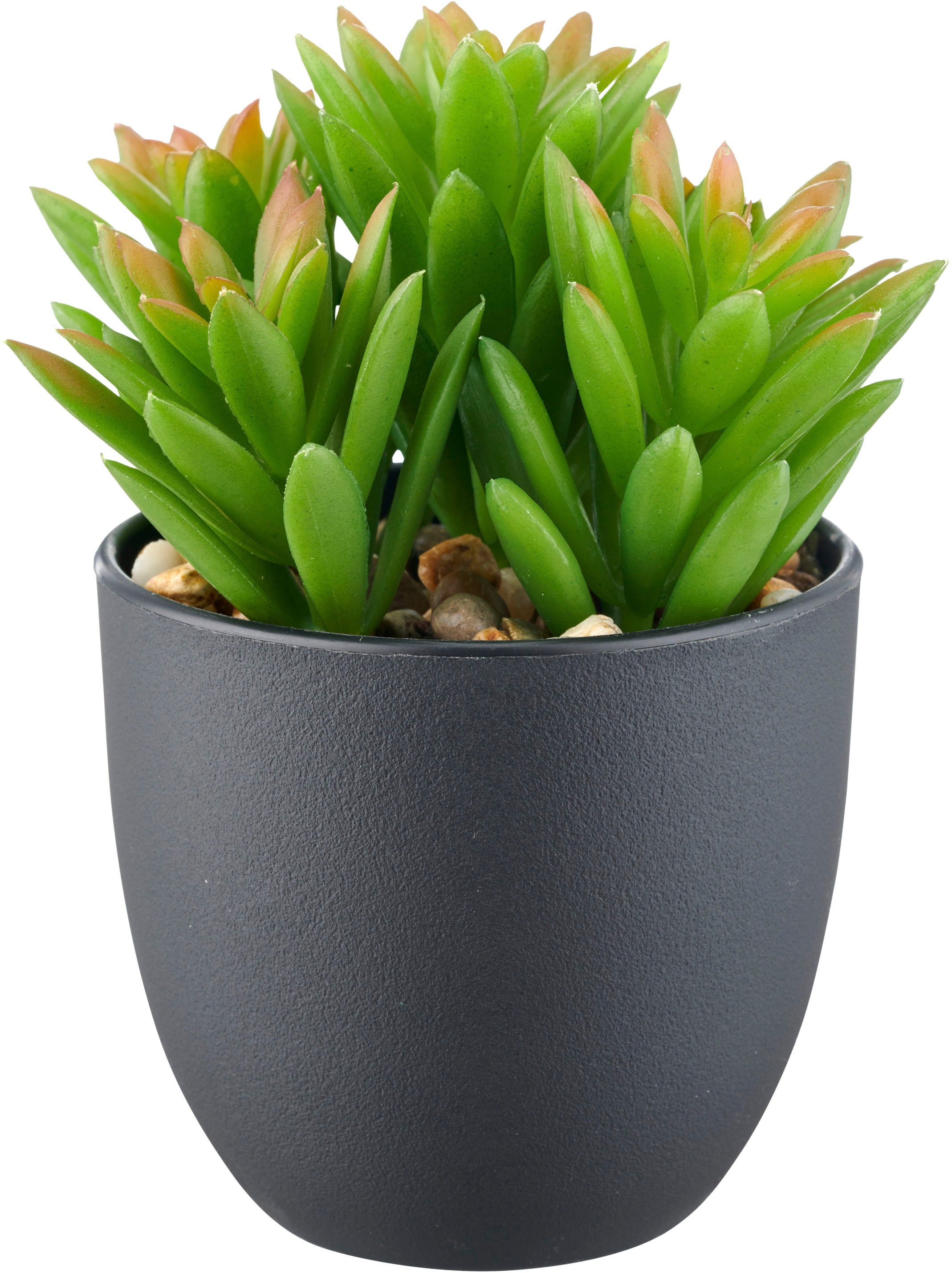 Creativ green Kunstpflanze »Sukkulenten« mit dekorativem Kies
