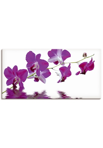 Leinwandbild »Violette Orchideen«, Blumen, (1 St.)