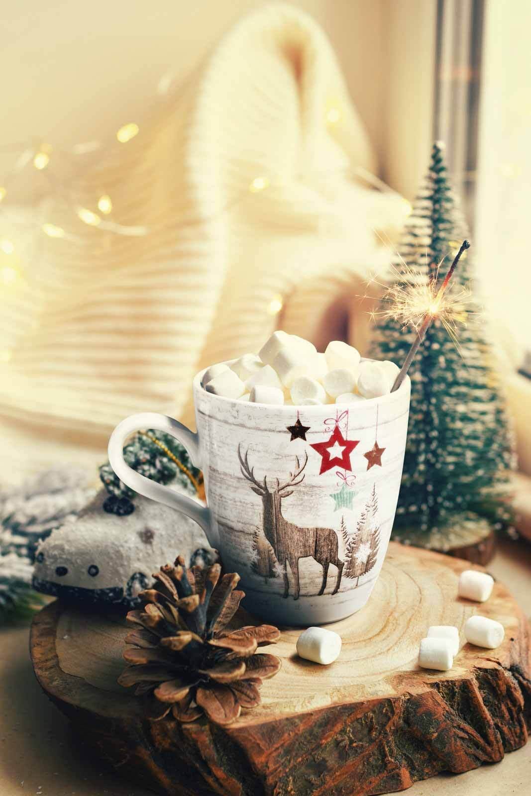 Seltmann Weiden Geschirr-Set »Frühstücks-Set Life Christmas 18er Set weiß-braun« Spülmaschinengeeignet, Mikrowellengeeignet, Ofenfest, Salamandergeeignet, Kühlschrankgeeignet, Gefrierschrankgeeignet