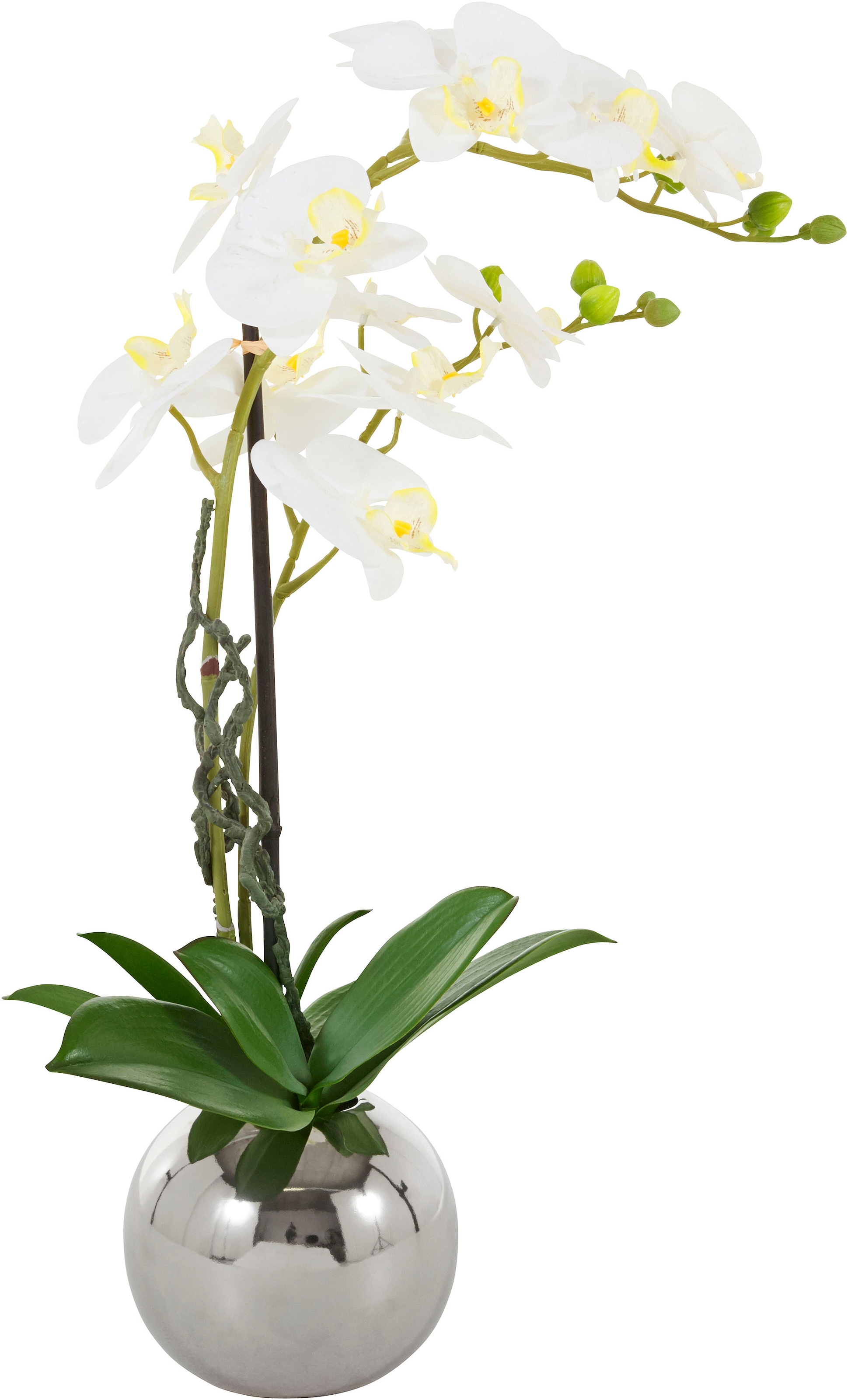 Kunstorchidee »Cosidena«, Kunstpflanze, im Topf aus Keramik