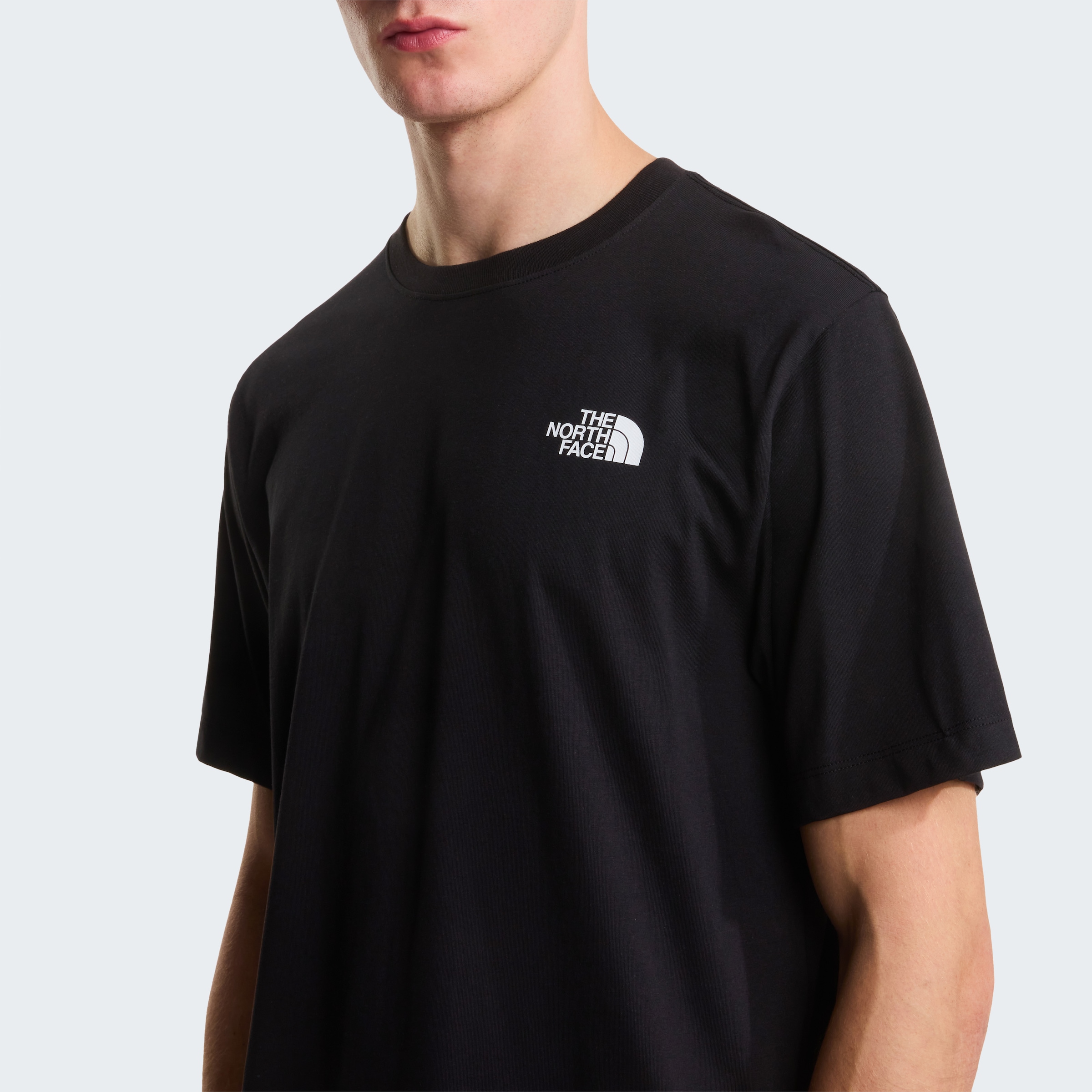 The North Face T-Shirt »M MONTE REGULAR SHORT SLEEVE TEE-GRAPHIC« normale Passform, kurze Ärmel, für Sport und Outdoor