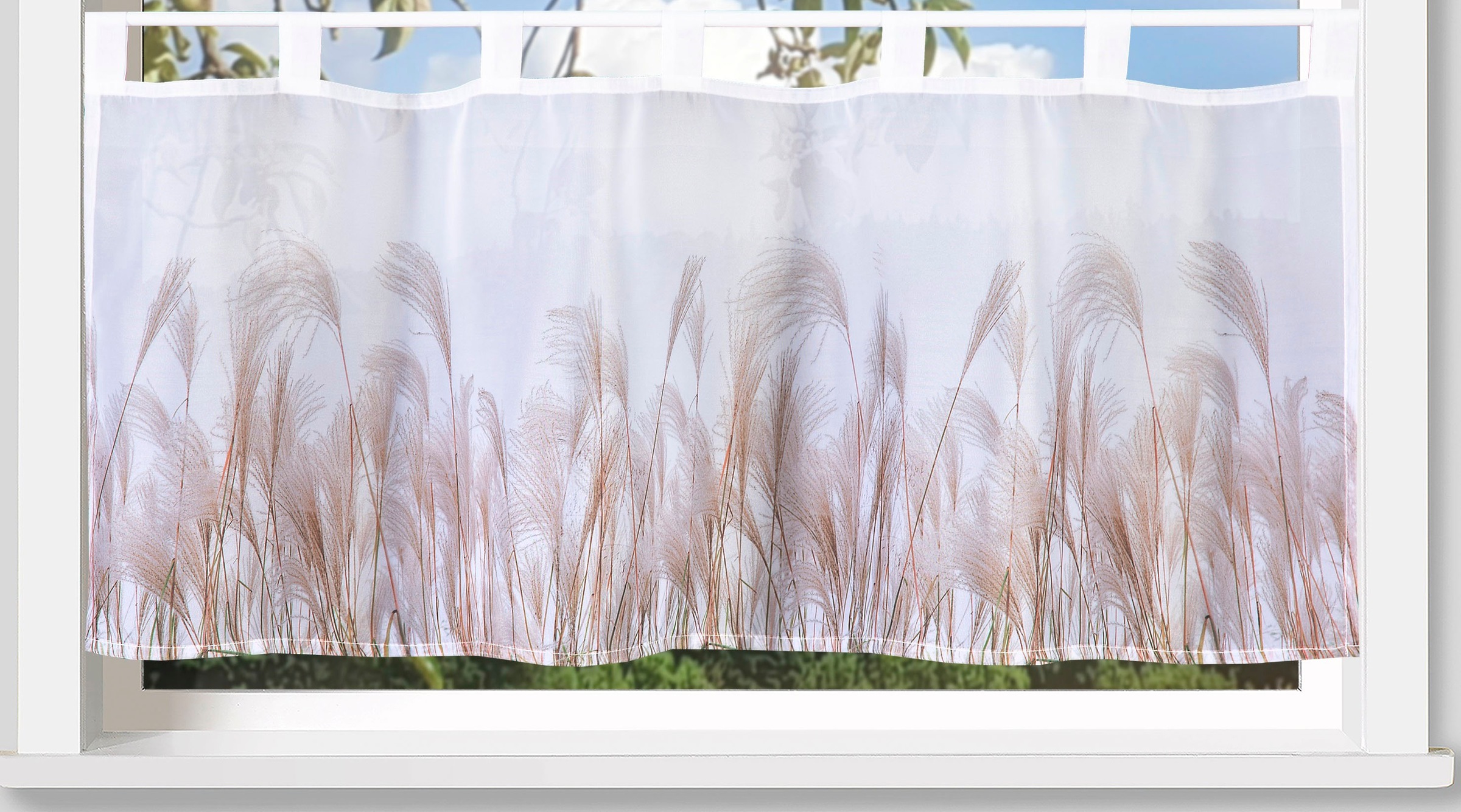 Weckbrodt Scheibengardine »Pampasgras« Schlaufen 1 Stk. tlg. Bistro, Voile, bedruckt, floral, HxB 45x120cm, Gardine, Store
