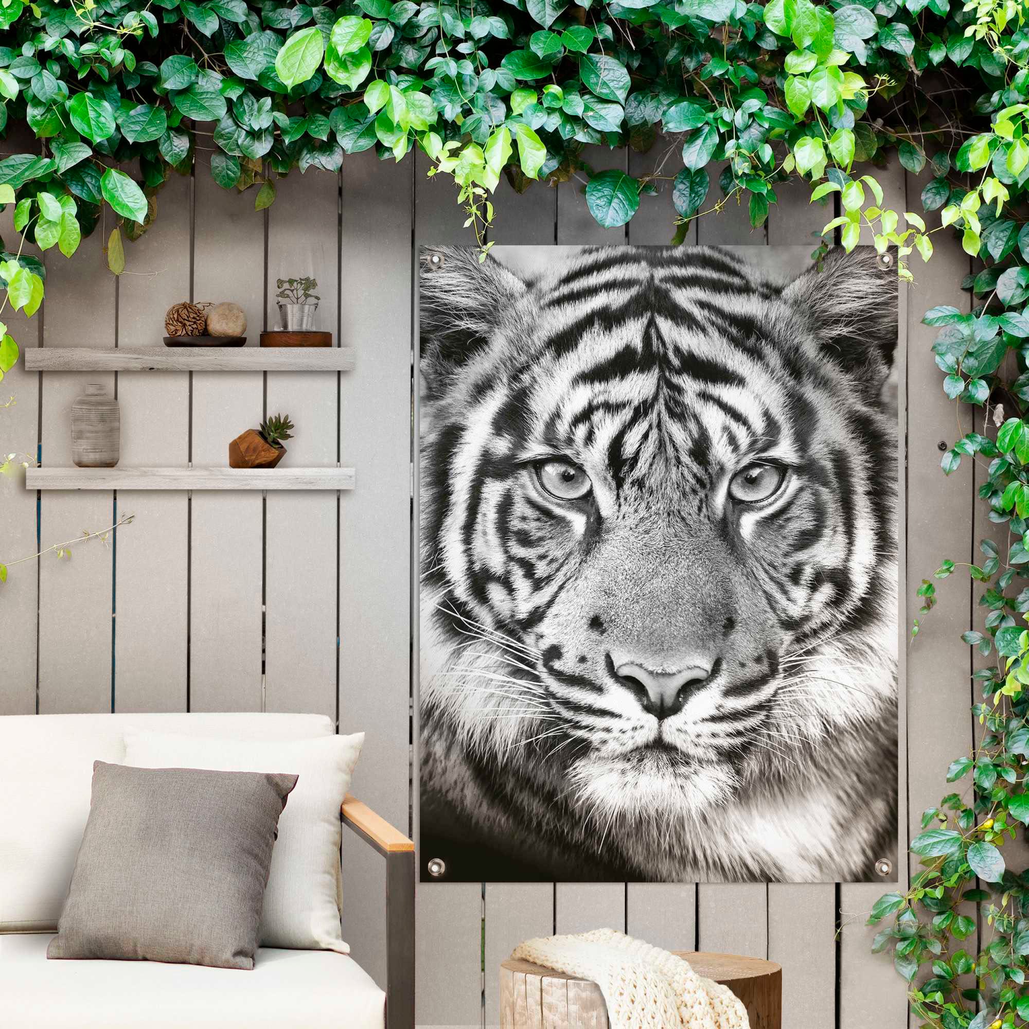 Poster »Tigerblick« Reinders! bequem bestellen