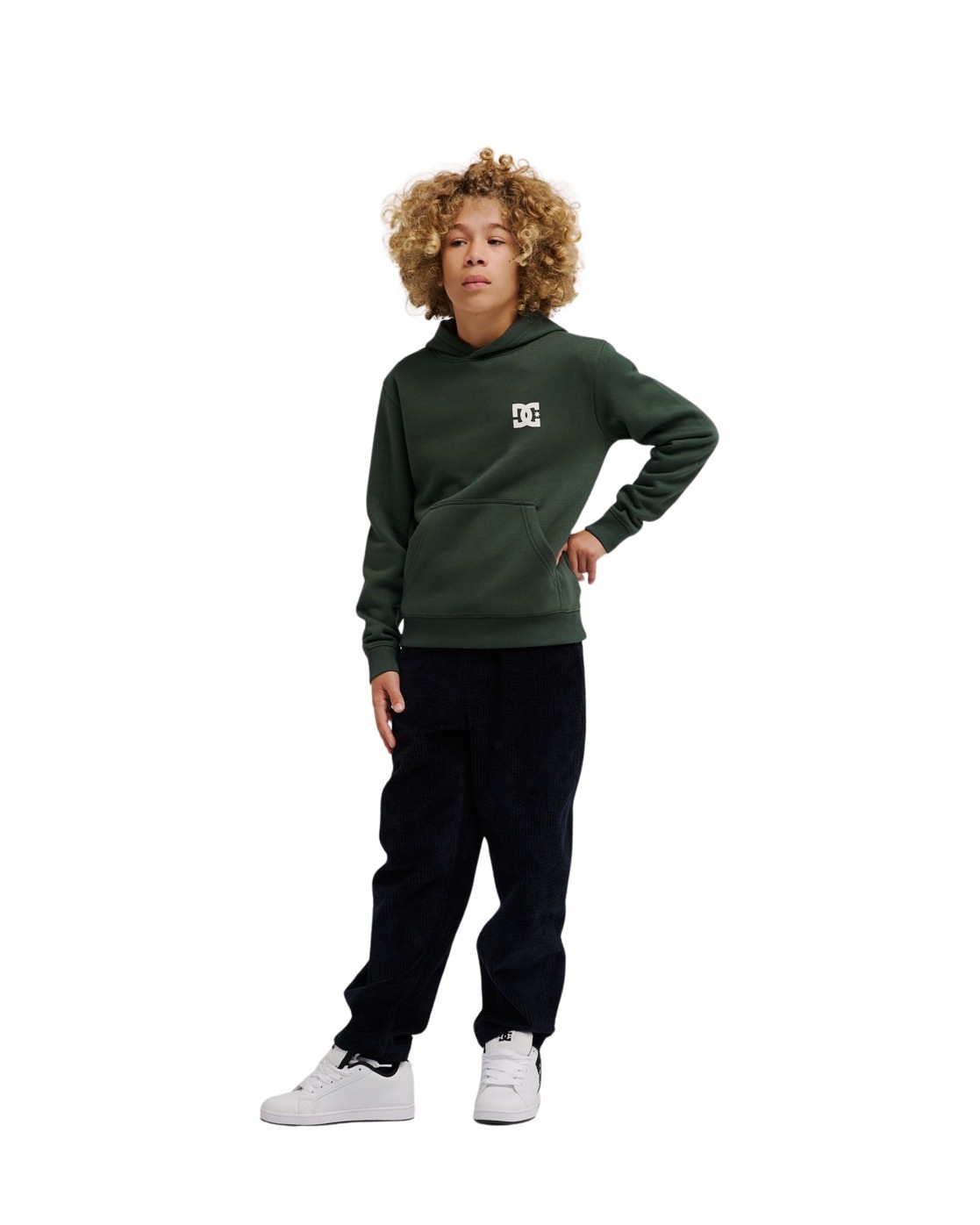 DC Shoes Hoodie »Pushing Forward«
