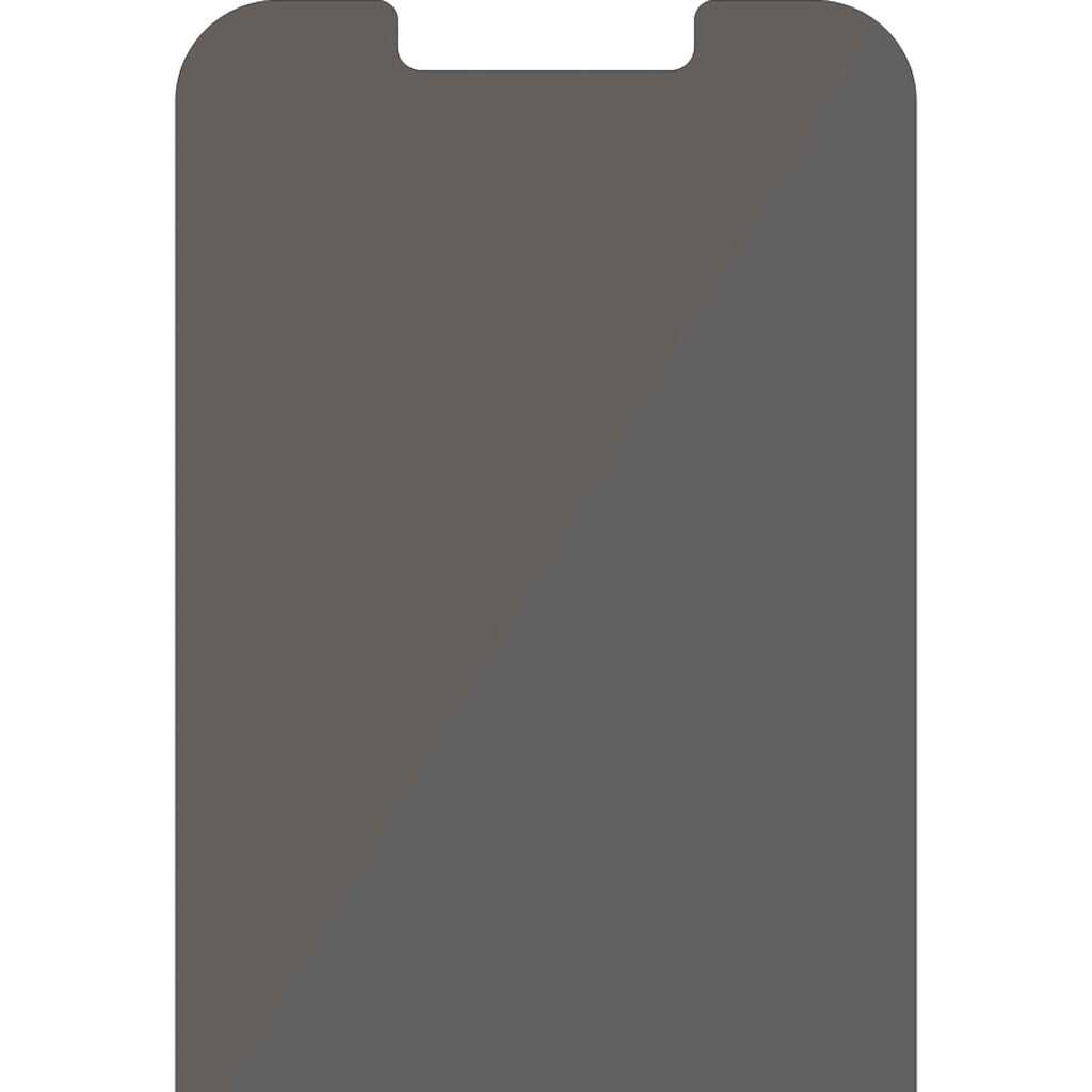 PanzerGlass Displayschutzfolie »PanzerGlass Standard Fit Privacy (Antibakeriell) für iPhone 13 mini«