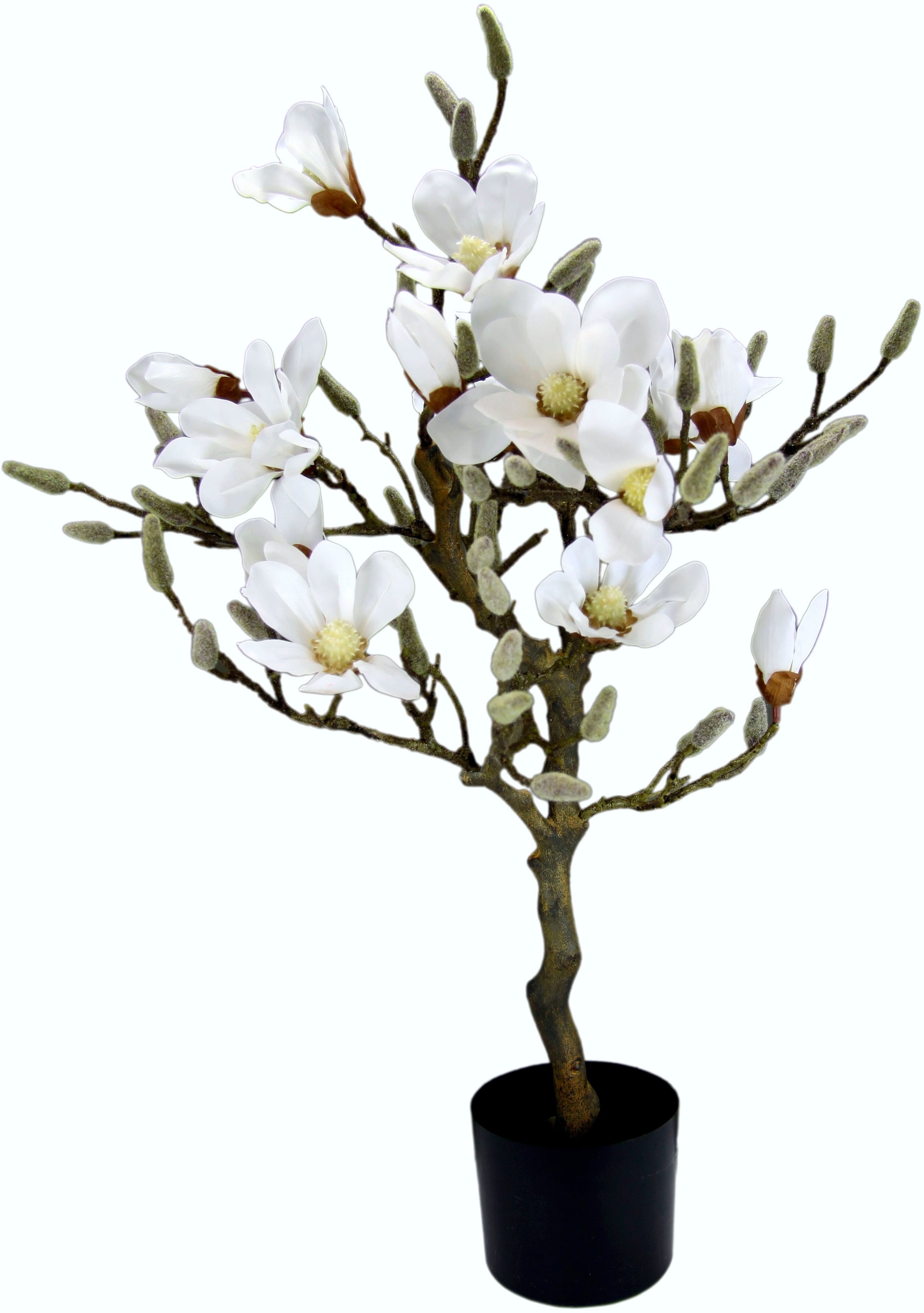 I.GE.A. Kunstbaum »Magnolienbaum«, im bestellen auf Rechnung Kunststofftopf