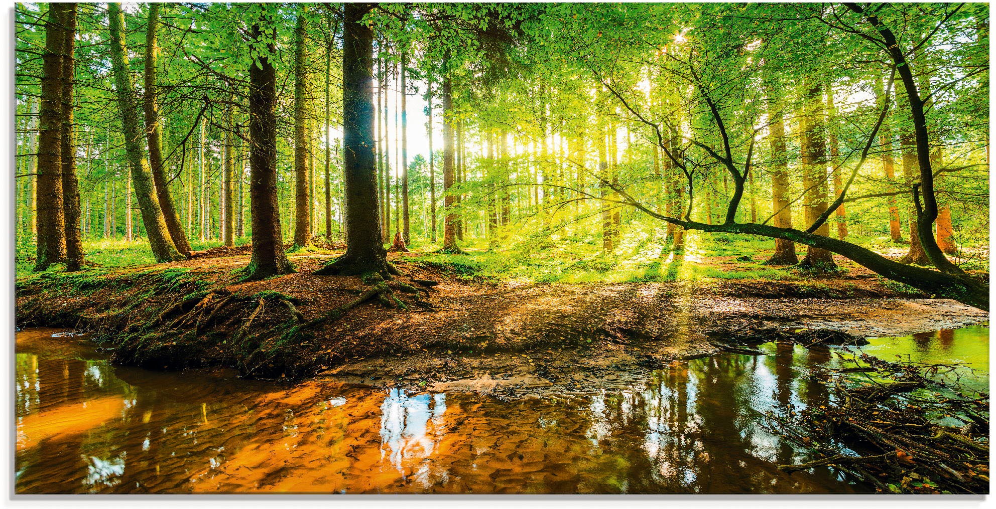 Artland Glasbild »Wald mit Bach«, Wald, (1 St.), in verschiedenen Größen