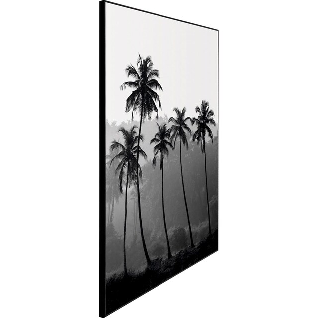 Reinders! Wandbild »Slim Frame Black 50x70 High Palms« bequem kaufen
