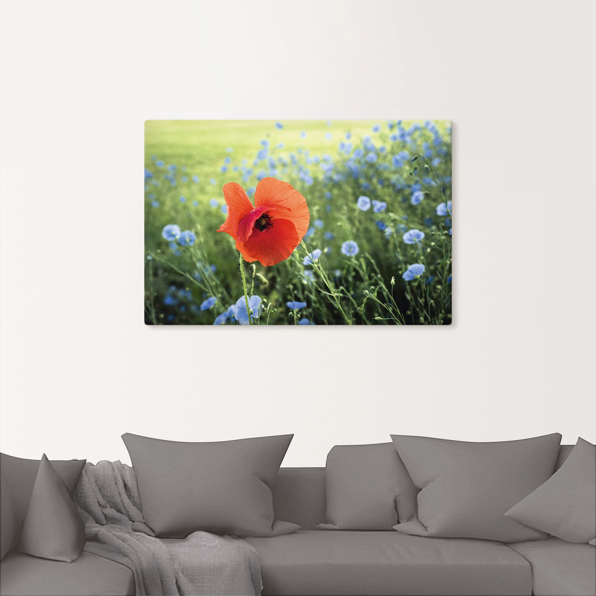 Artland Leinwandbild »Mohnblüte III«, Blumenbilder, (1 St.), auf Keilrahmen gespannt