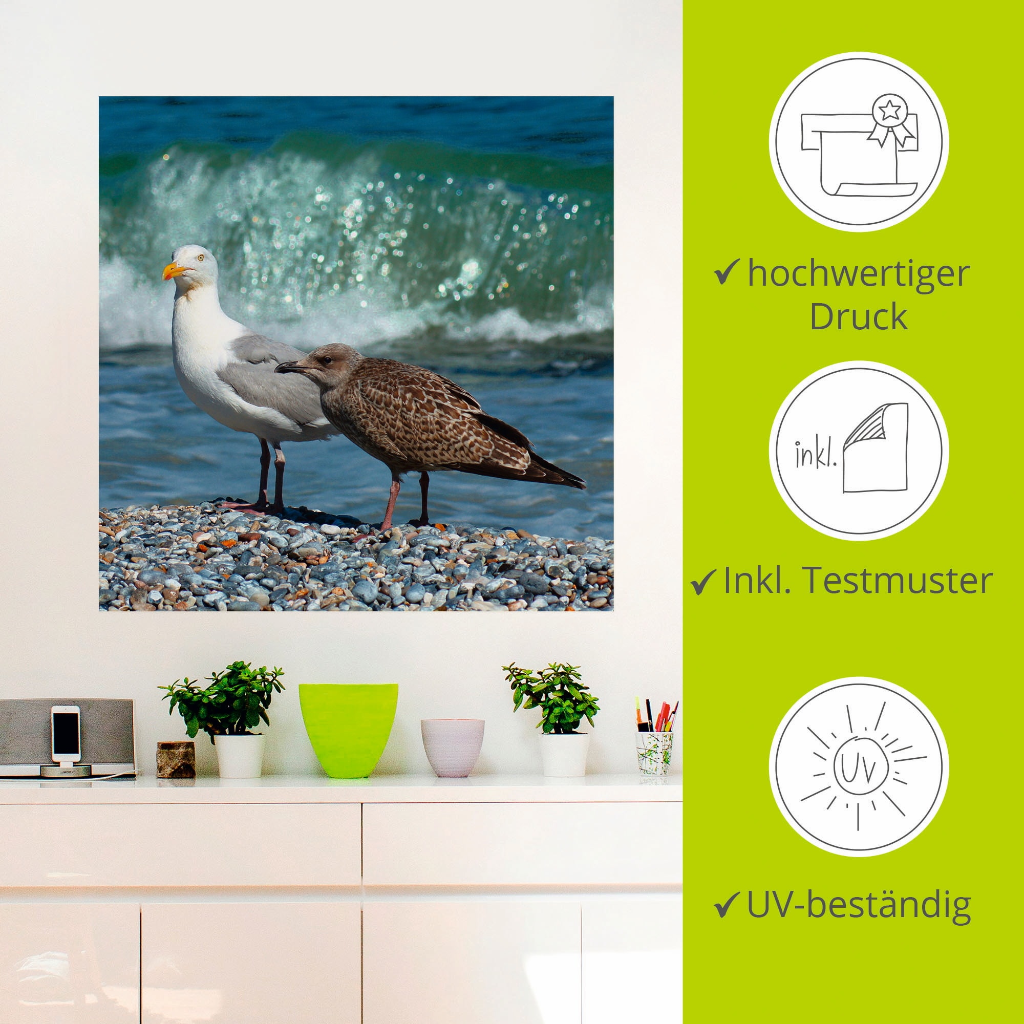 Artland Wandbild »Möwen in der Meeresbrandung«, Vögel, (1 St.), als Poster, Wandaufkleber in verschied. Größen