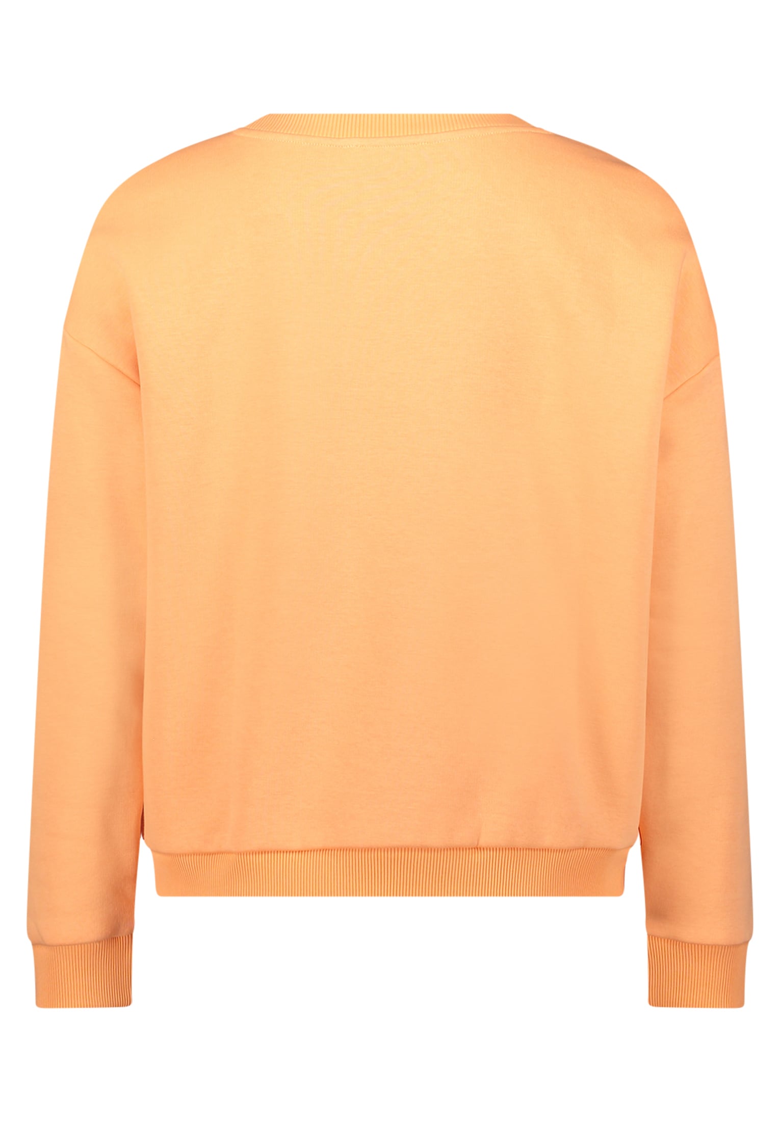 Cartoon Sweatshirt »Sweatshirt mit Rippbündchen«
