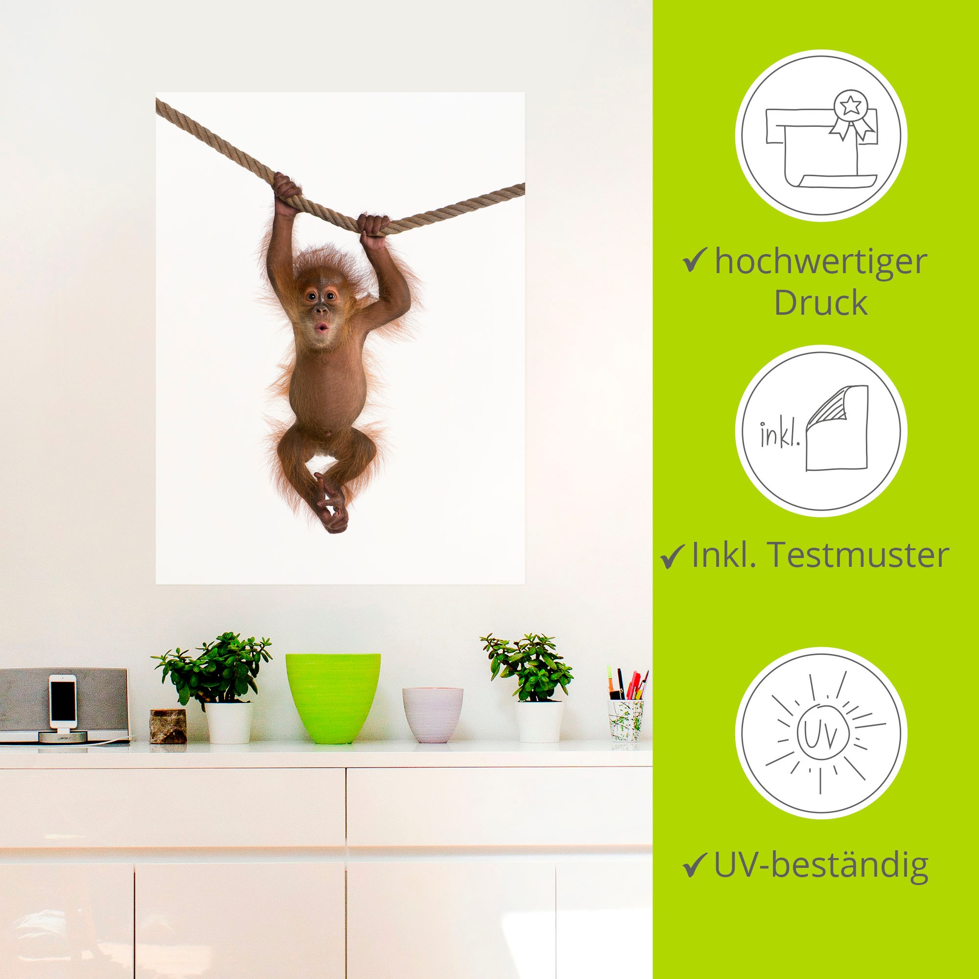 Artland Wandbild »Baby Orang Utan hängt an Seil II«, Wildtiere, (1 St.), als Alubild, Outdoorbild, Leinwandbild, Poster, Wandaufkleber