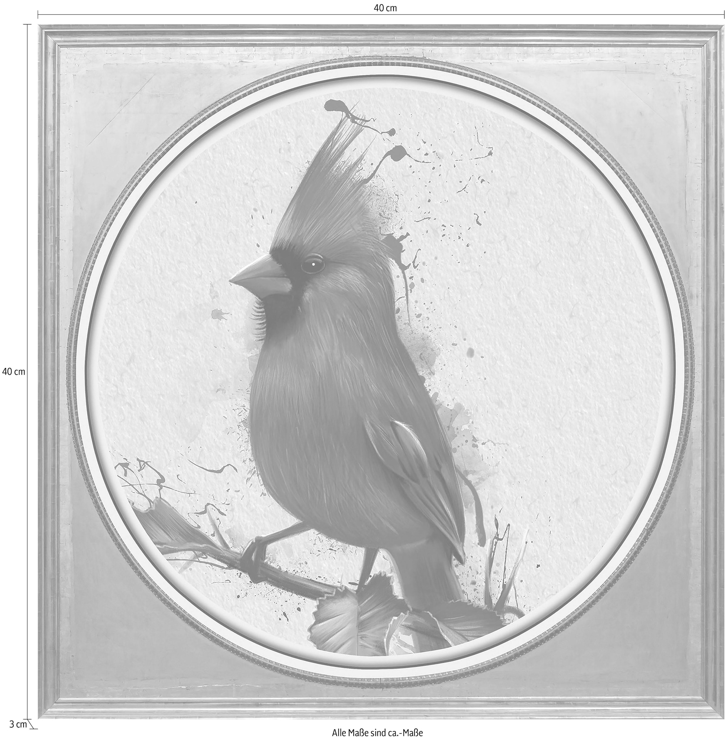 queence Acrylglasbild »Roter Vogel« bequem kaufen