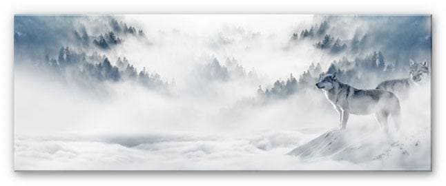 Wall-Art Acrylglasbild »Wölfe im Schnee Panorama«, Glasposter modern