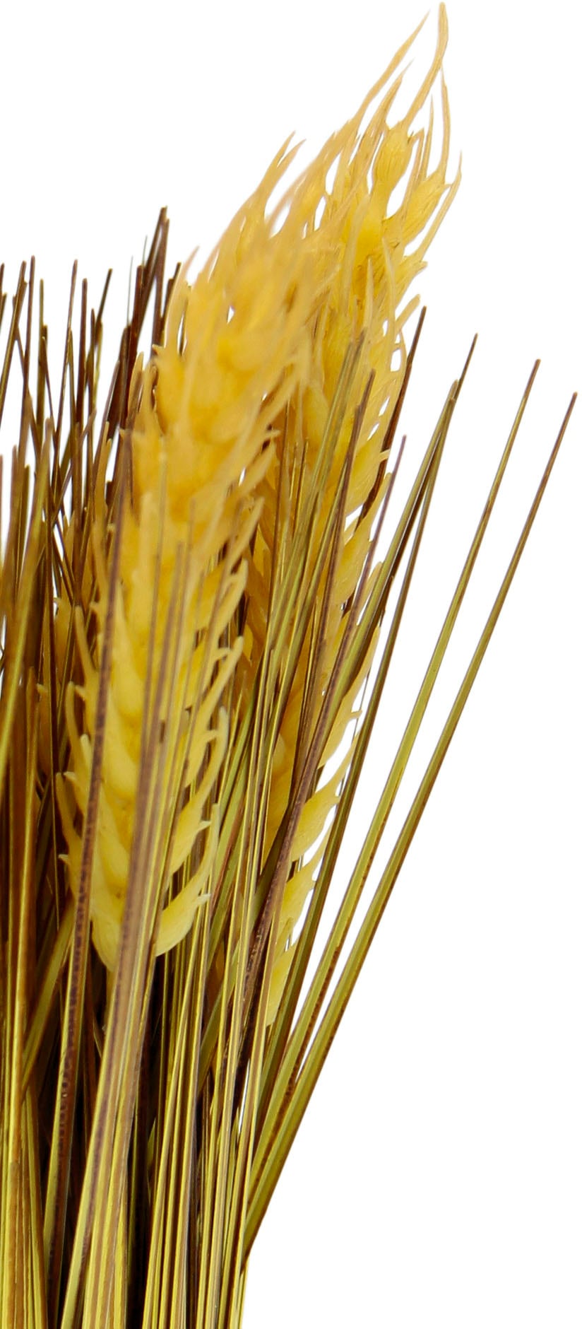 I.GE.A. Kunstpflanze »Weizenbund« Kunstgras